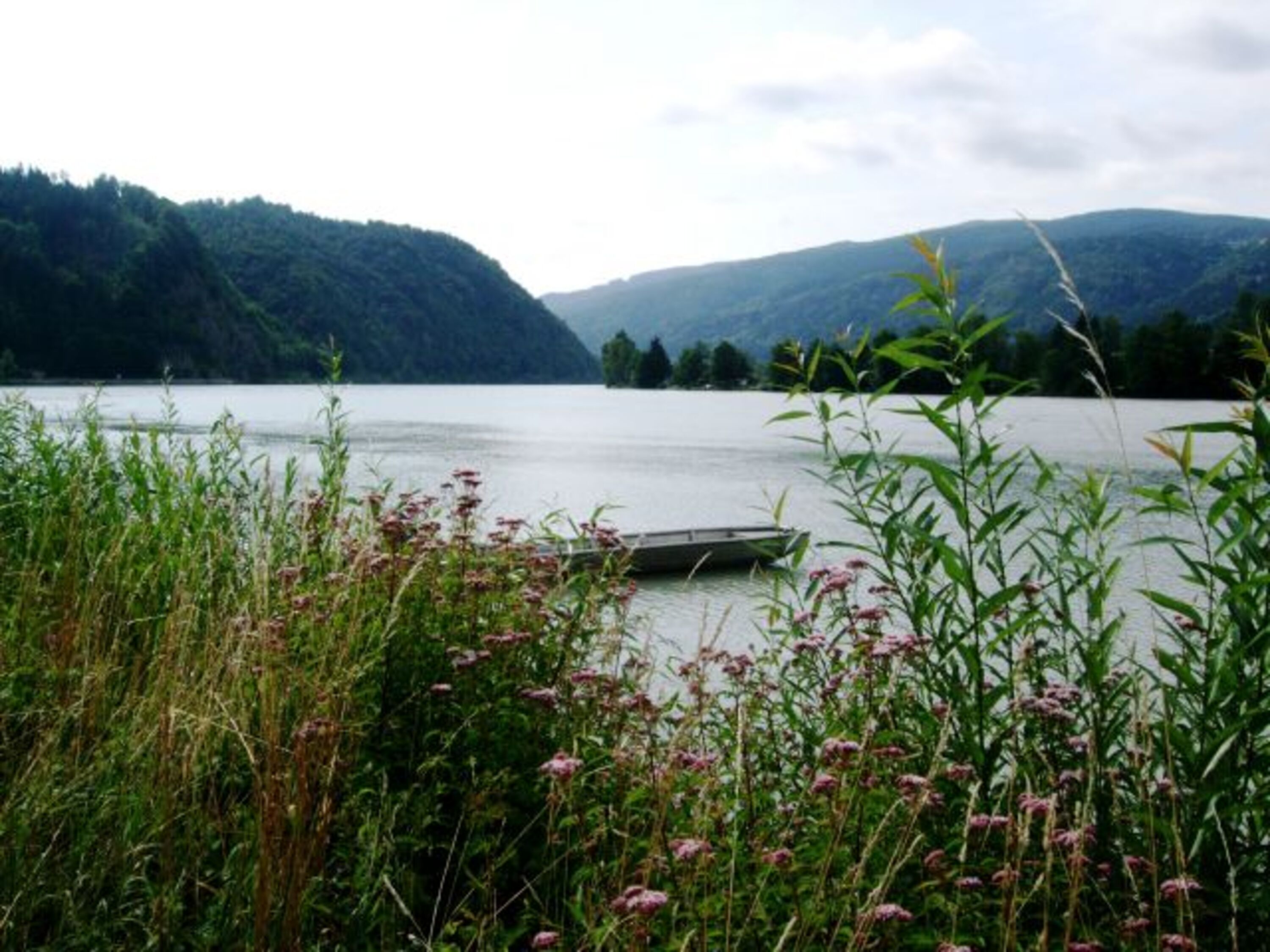 An der Donau
