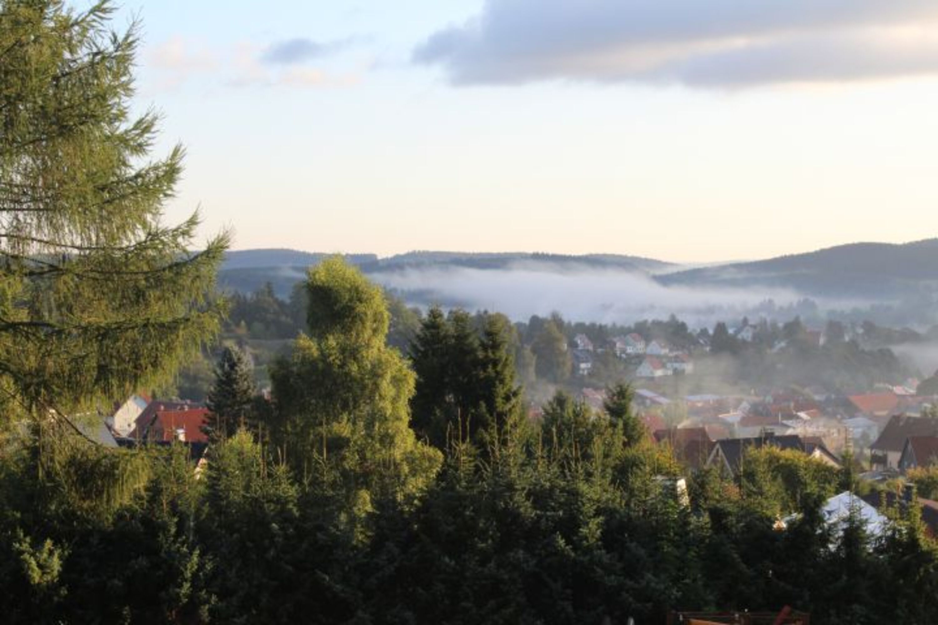 Morgenstimmung