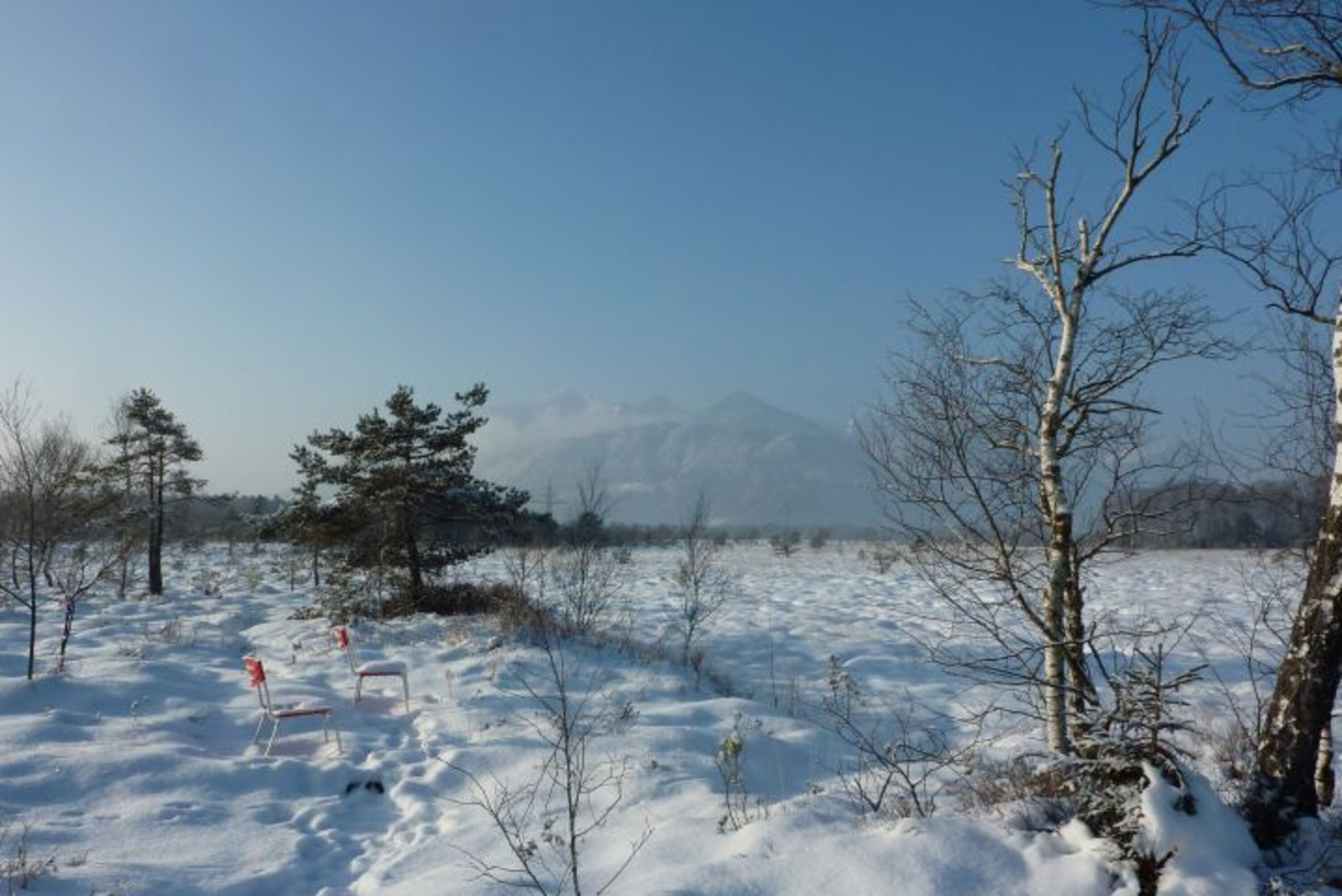 Überseeer Moor im Winter