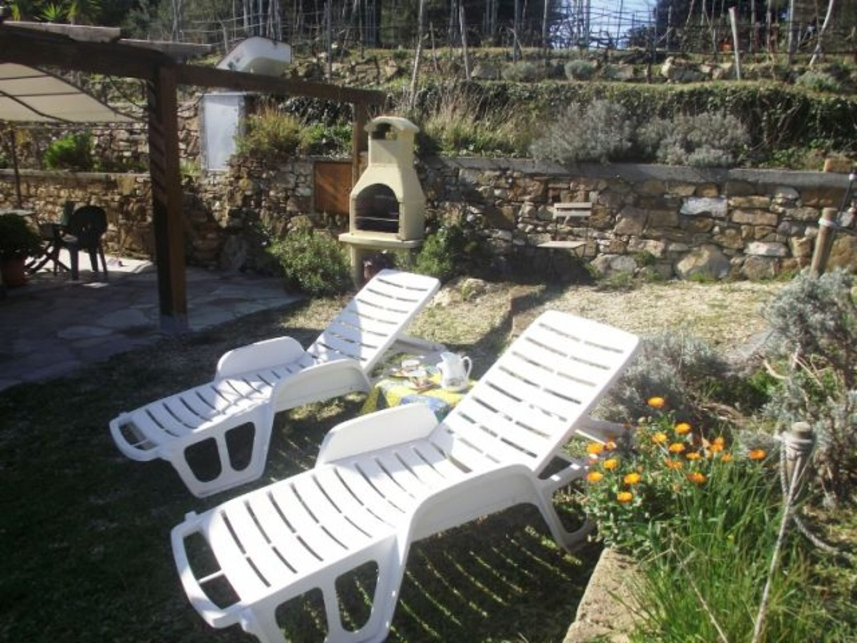 Bild 12