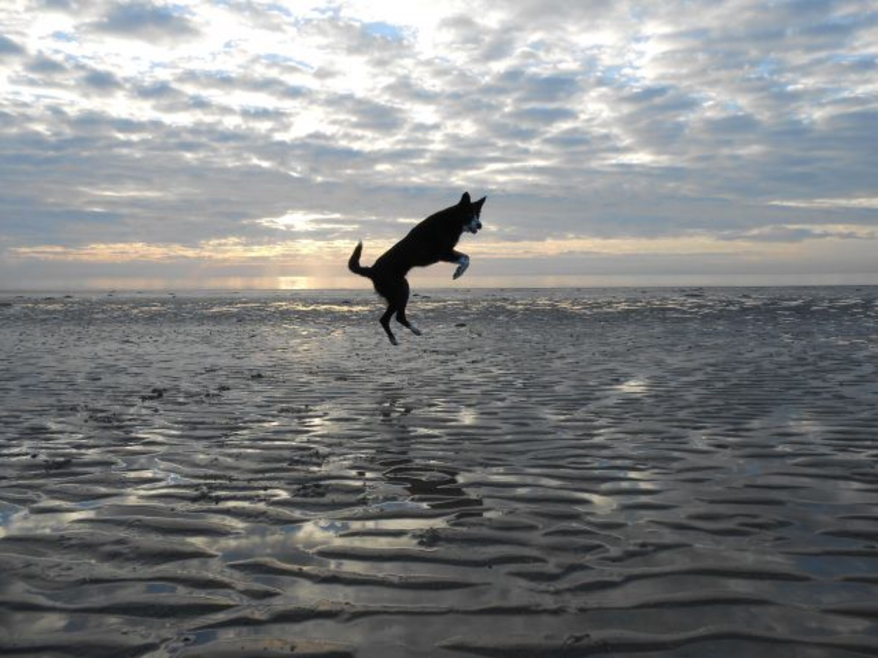 Freiheit am Strand in Winter