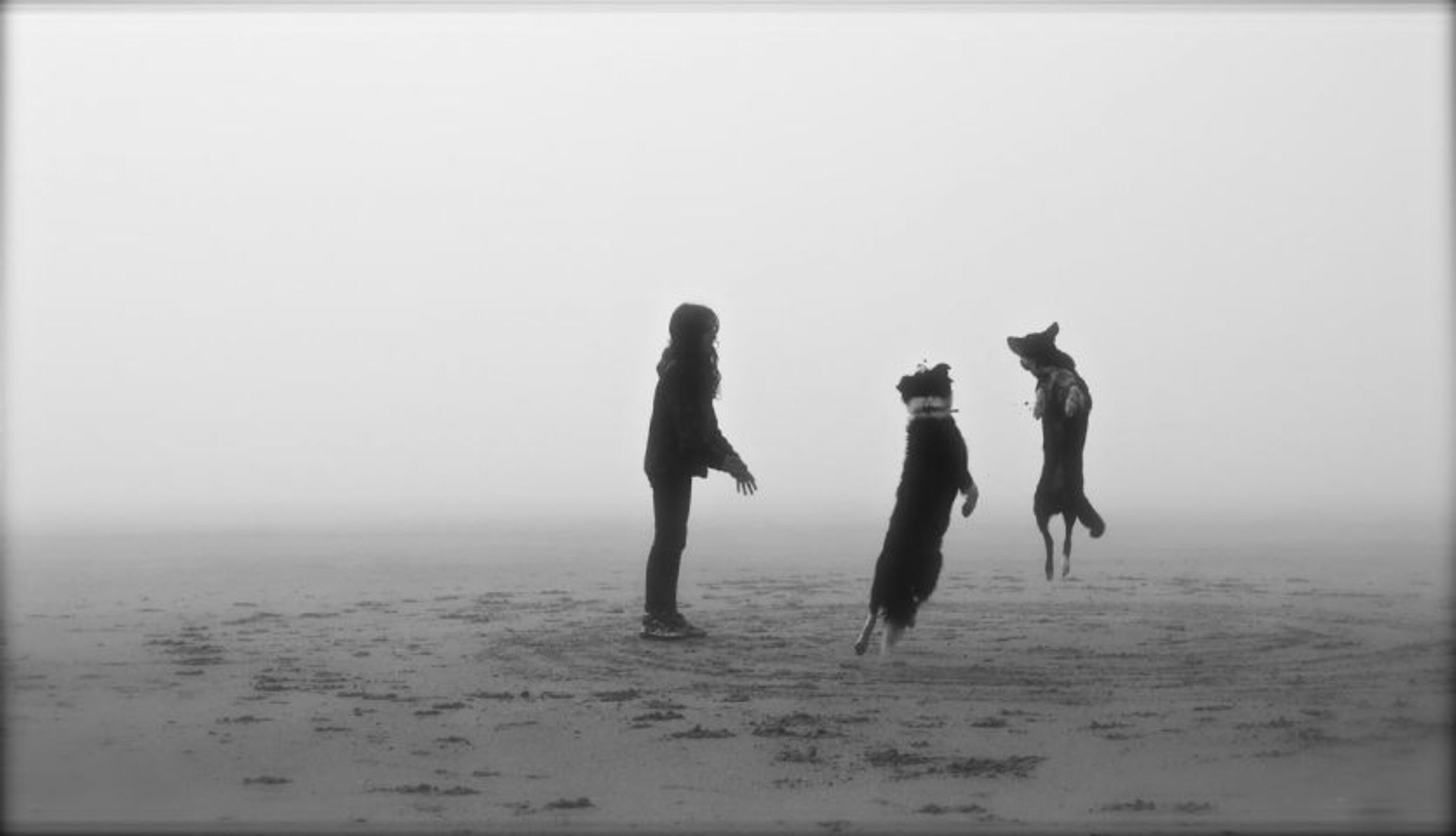 Spiele Strandes
