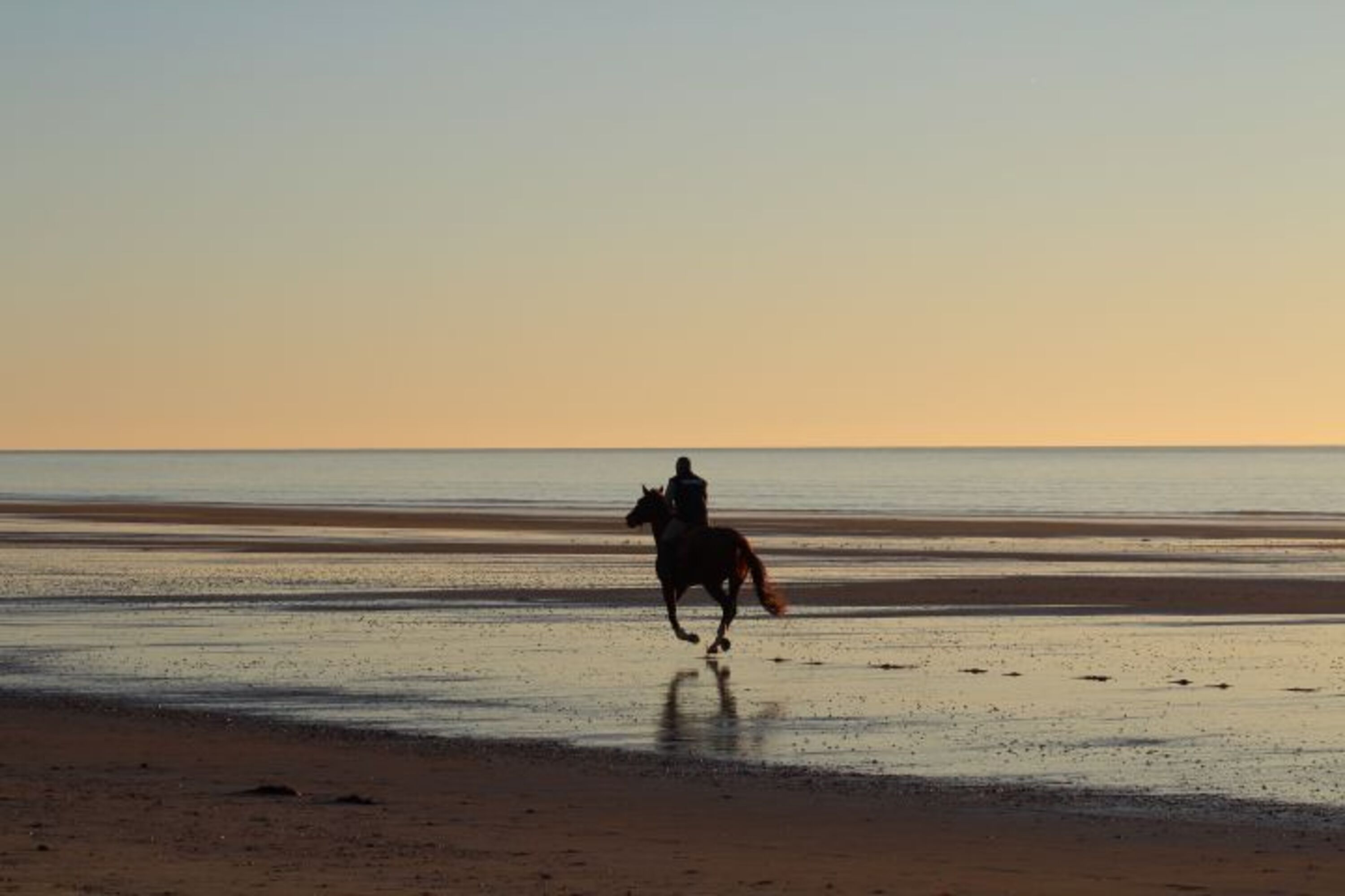 Reiter am Strand