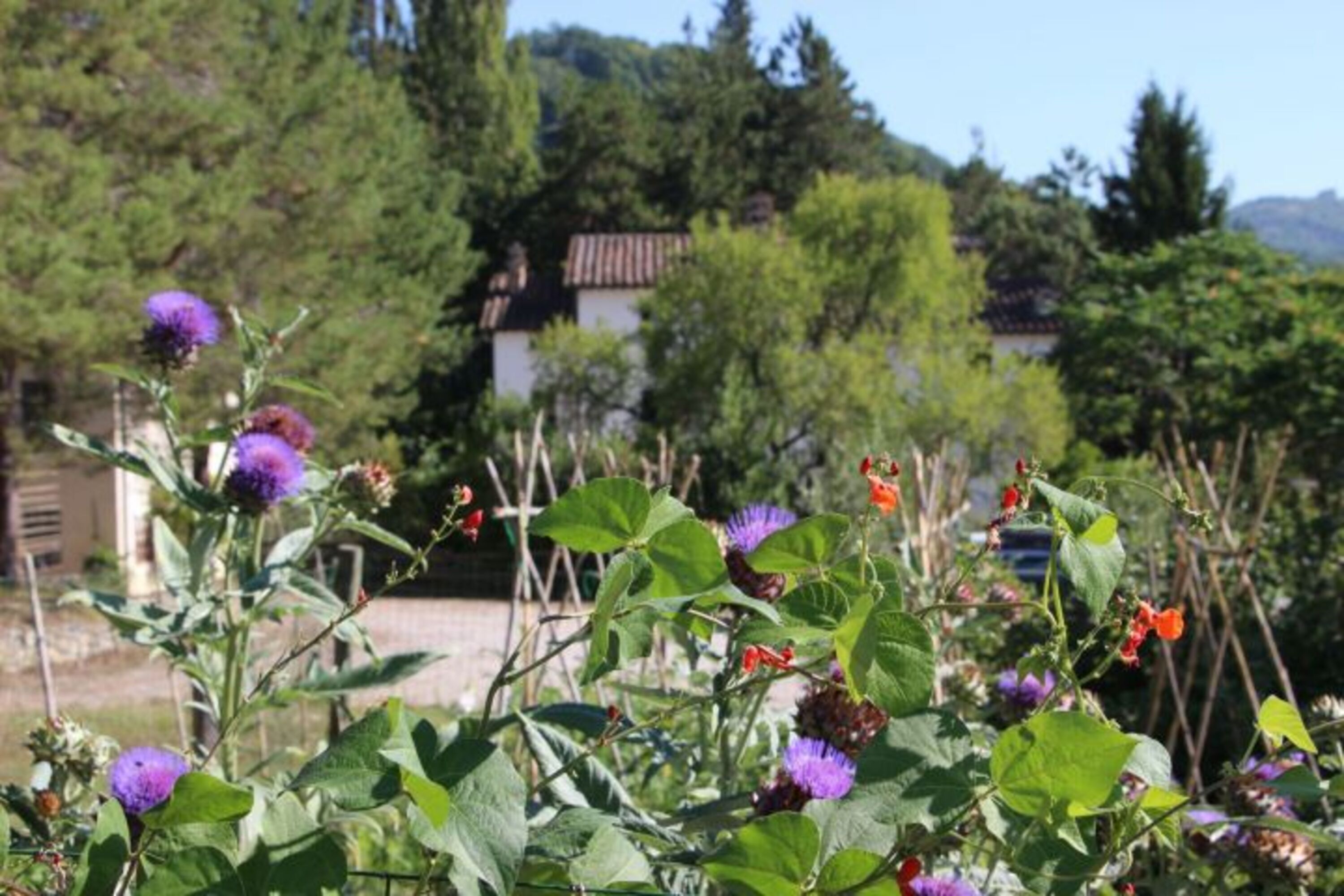 Ein Gartenparadies