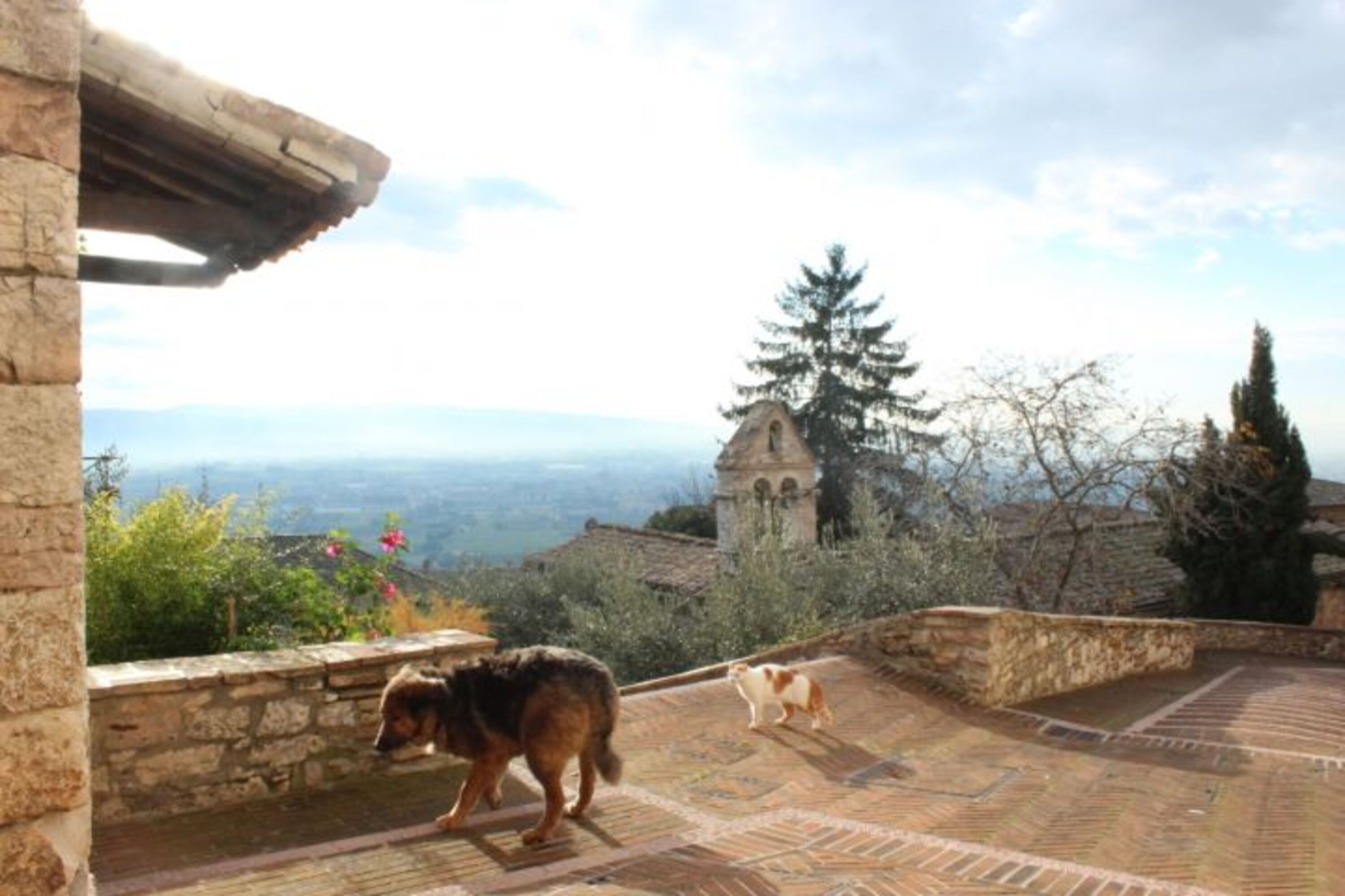 Ausflug nach Assisi