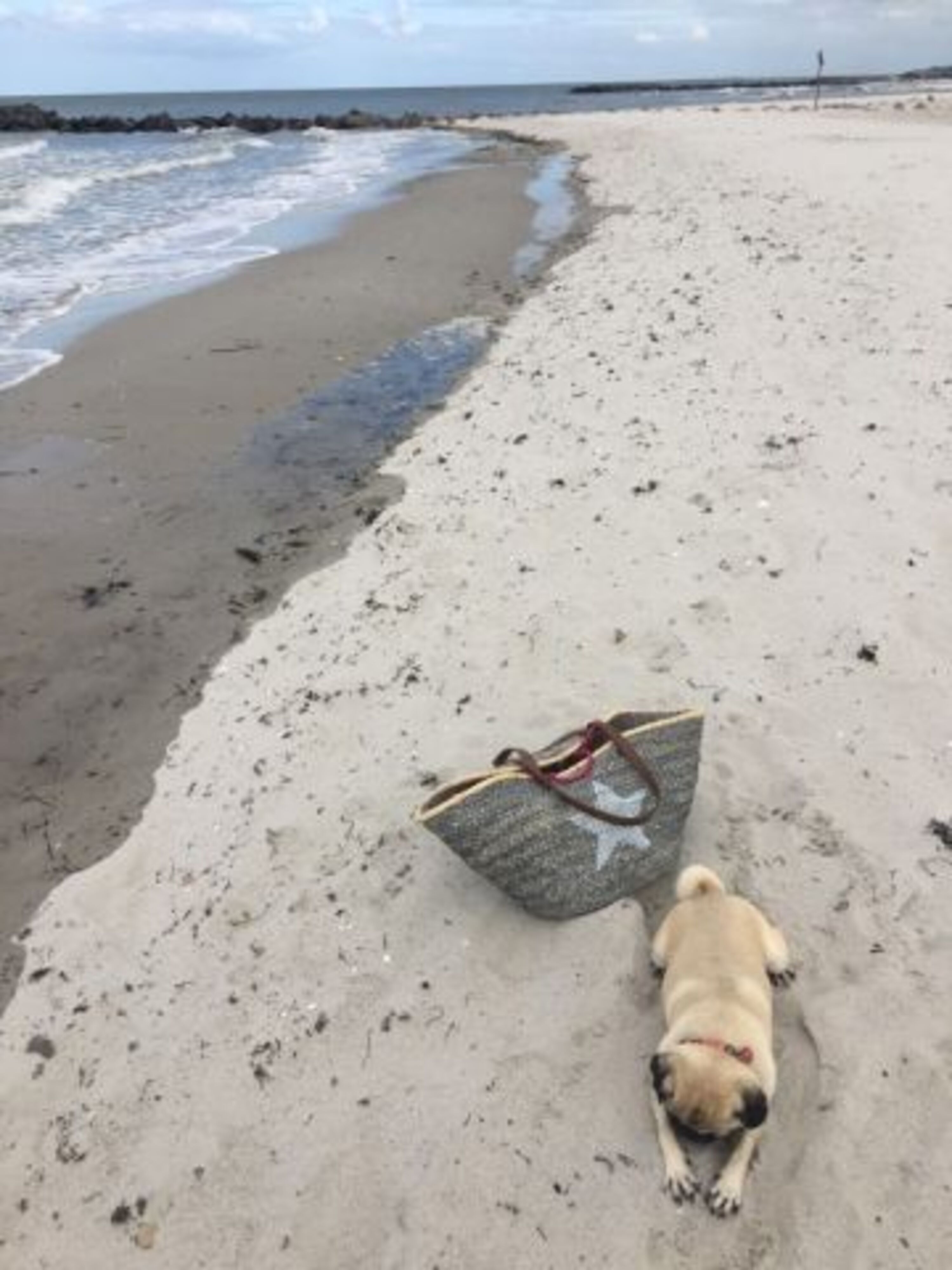Schönberger Hundestrand 
