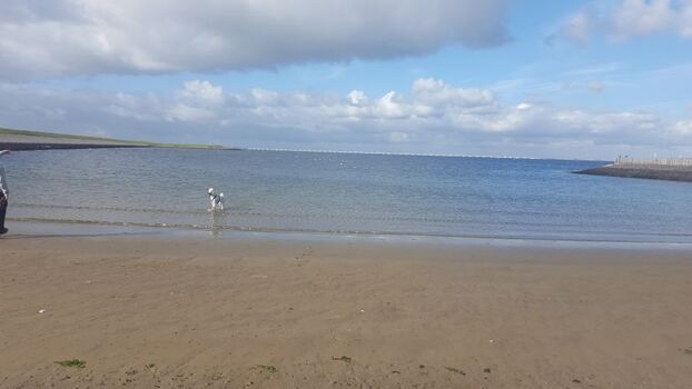 kleiner Strand von Stavenisse ca 1km zu Fuß