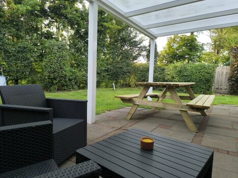 Hecken   Maschendrahtzaun 