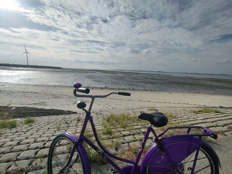 4 einfache Fahrräder im Schuppen, traumhafte Radwege am Meer entlang