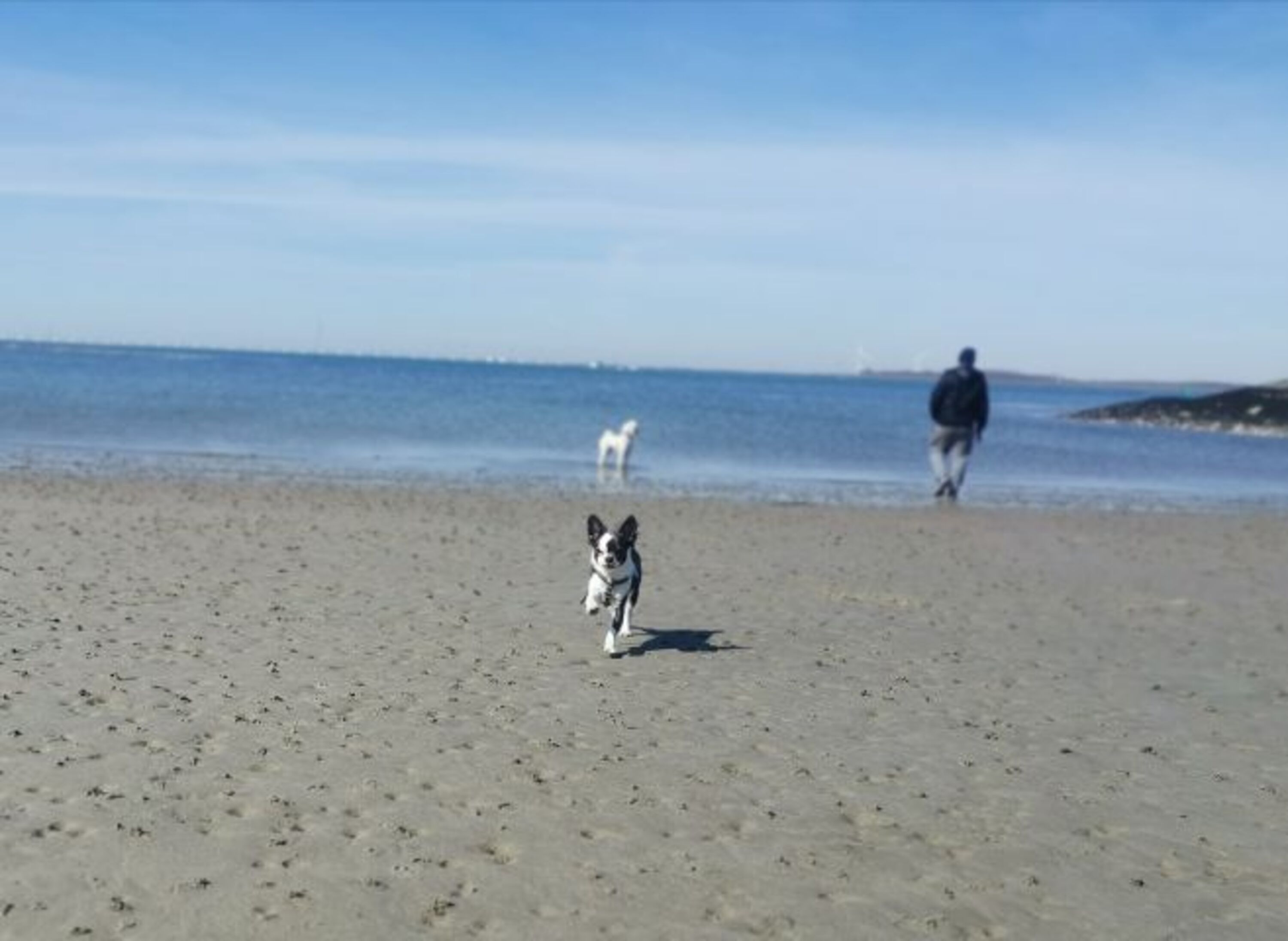 kleiner Strand von Stavenisse 1km fußläufig