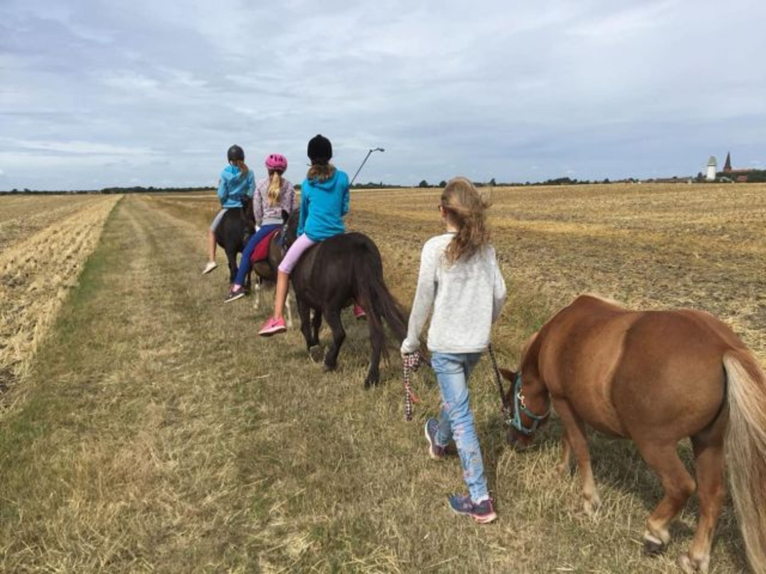 Bild 16
