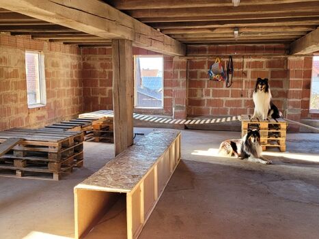 Indoor-Geräteparcours