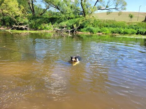 Badstelle an der Fulda