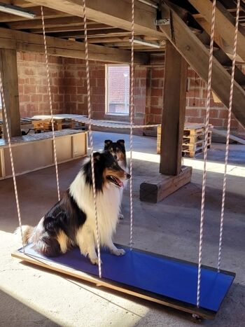 Indoor-Geräteparcours