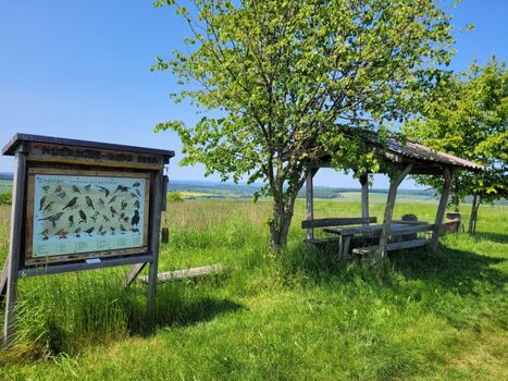 Aussichtspunkt Schlotzau