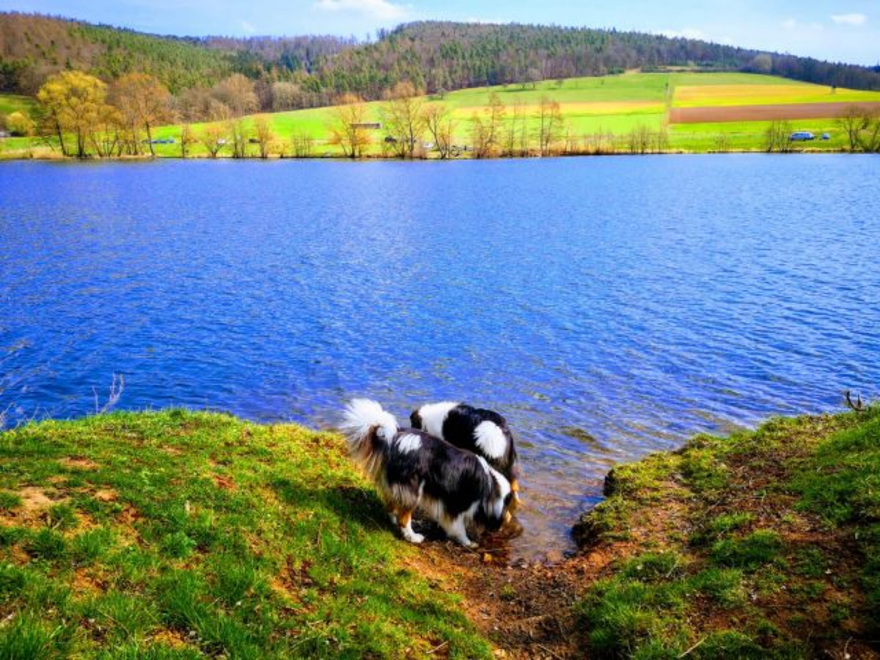 Am Pfordter See