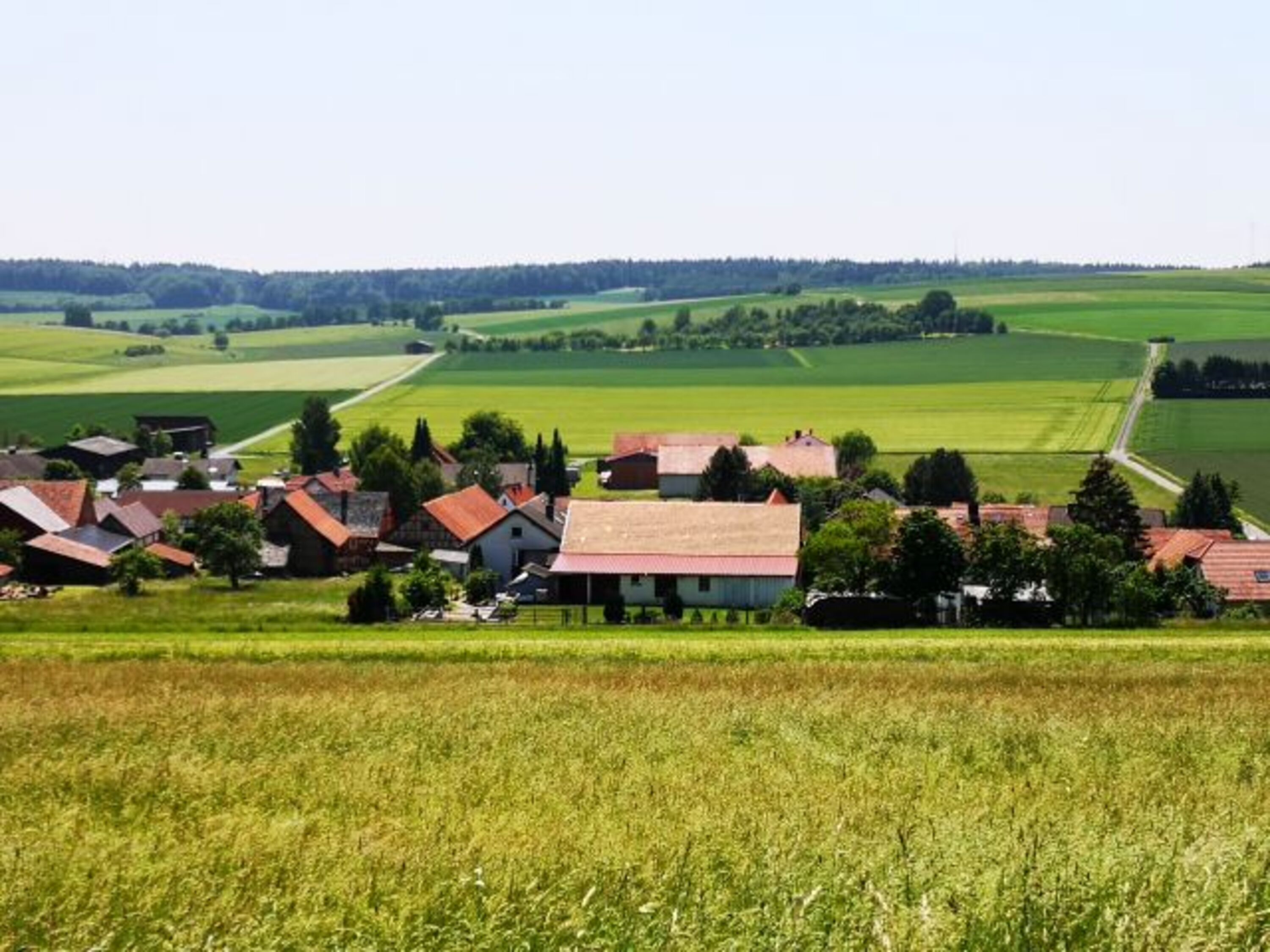 Blick von hinten auf den Hof