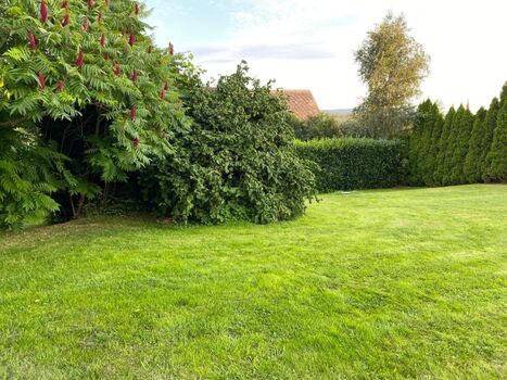 Hinter der Terrasse die große Wiese, alles komplett eingezäunt