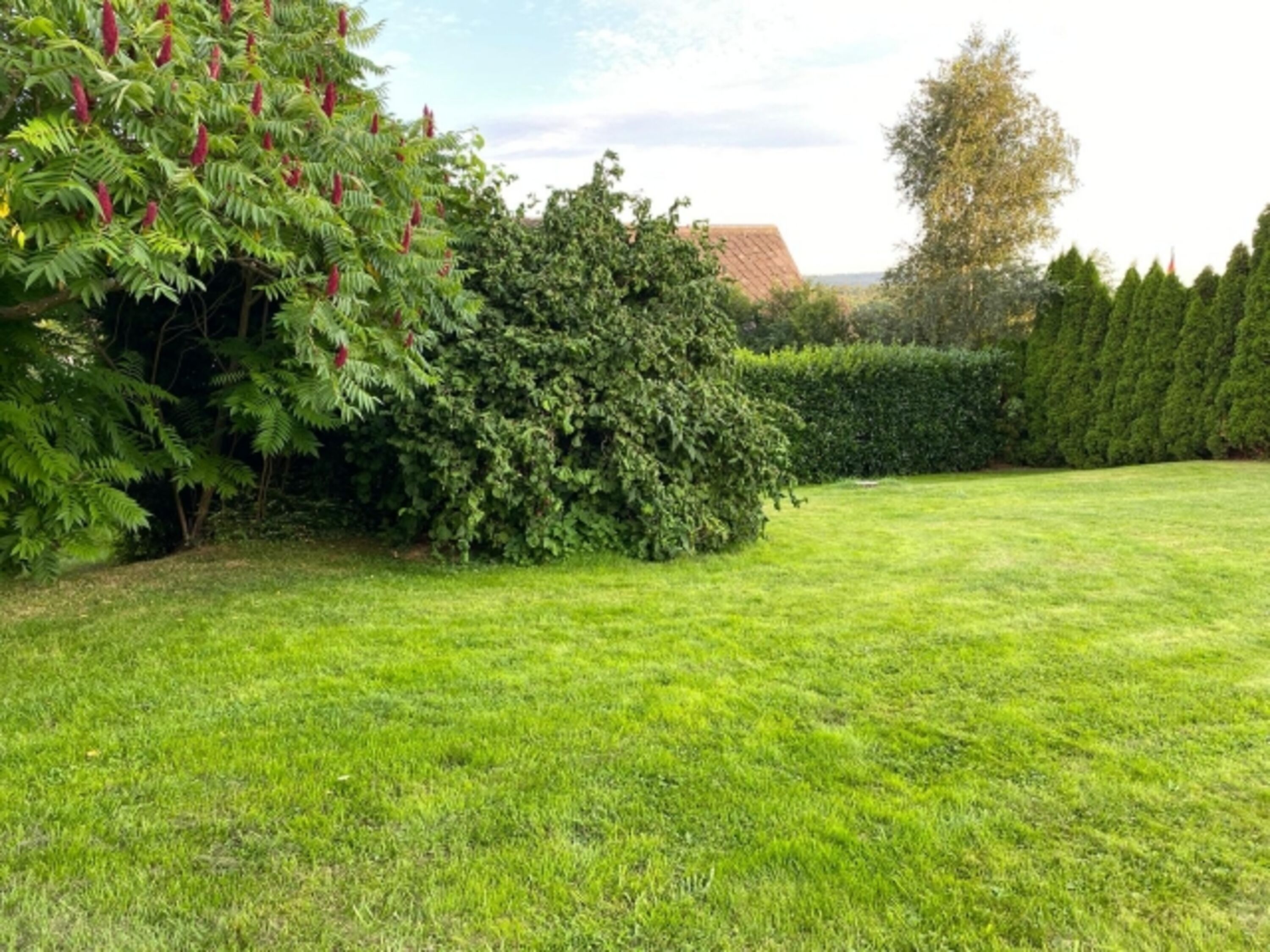 Hinter der Terrasse die große Wiese, alles komplett eingezäunt