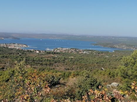 Der See und Umgebung