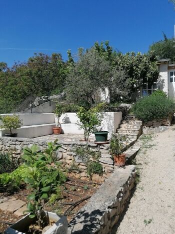 Grillplatz und Gemüsebeet