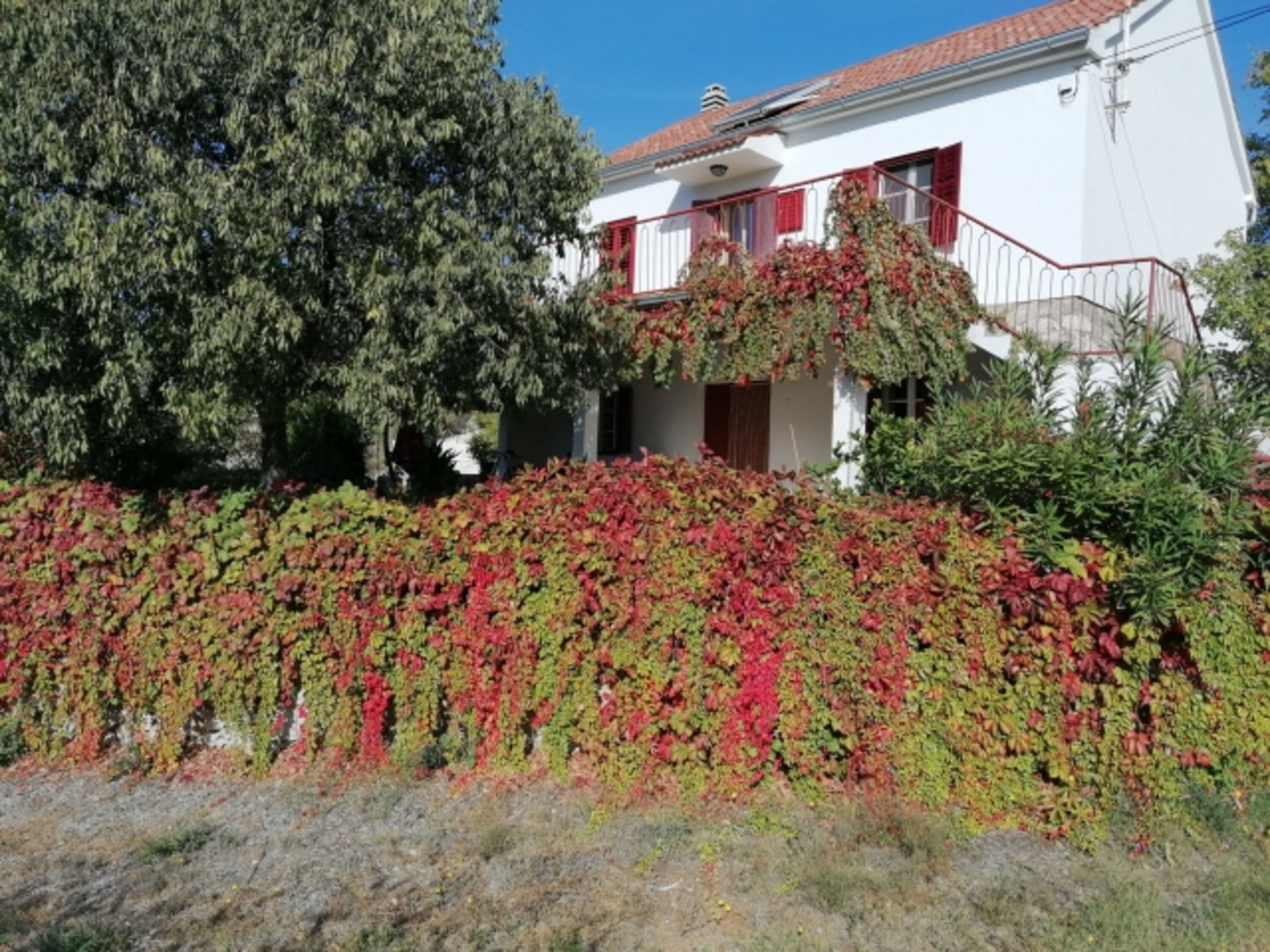 Blick aufs Haus im Herbst bei Ankunft