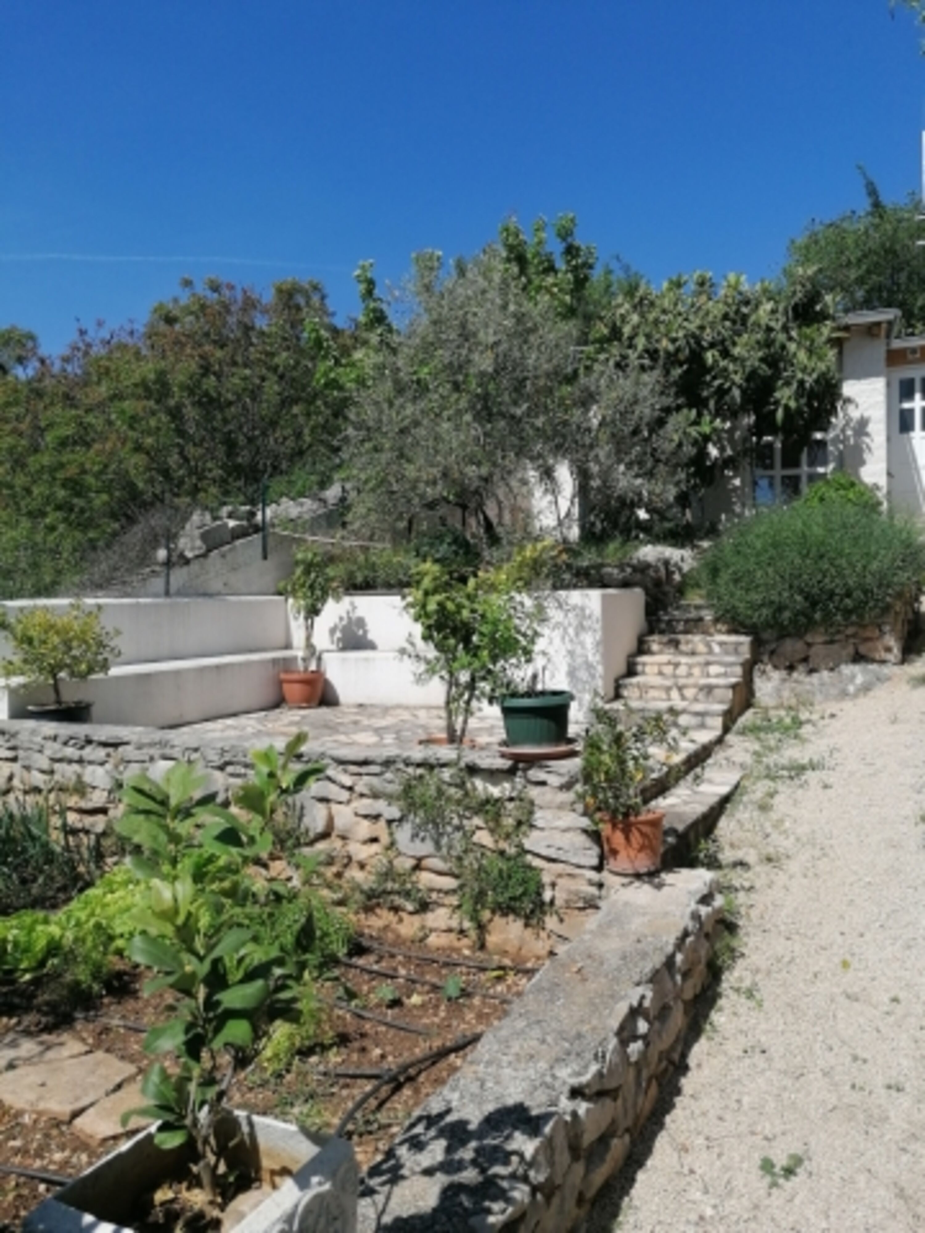 Grillplatz und Gemüsebeet