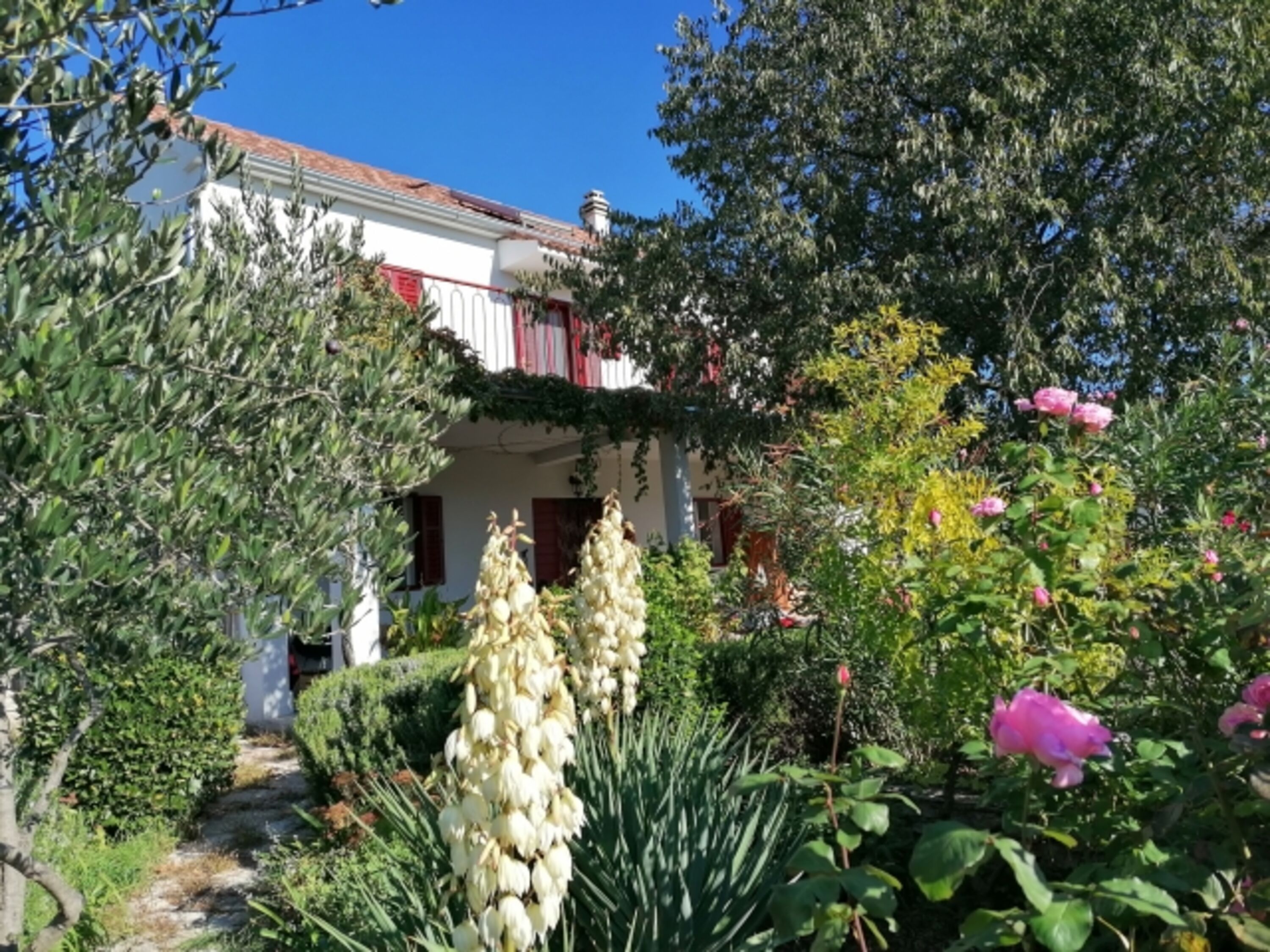 Blick aufs Haus aus dem Garten