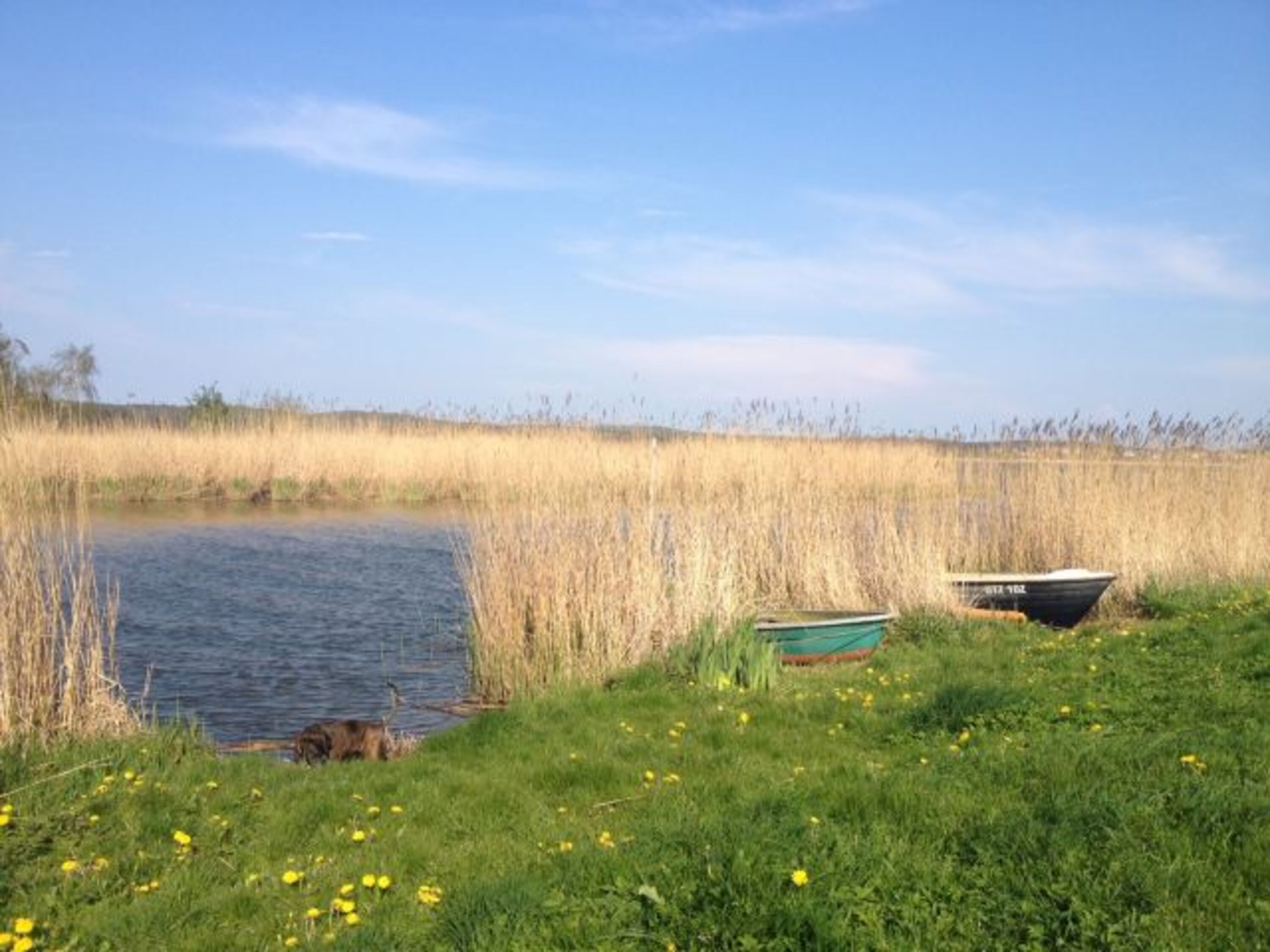 Loddiner Höft