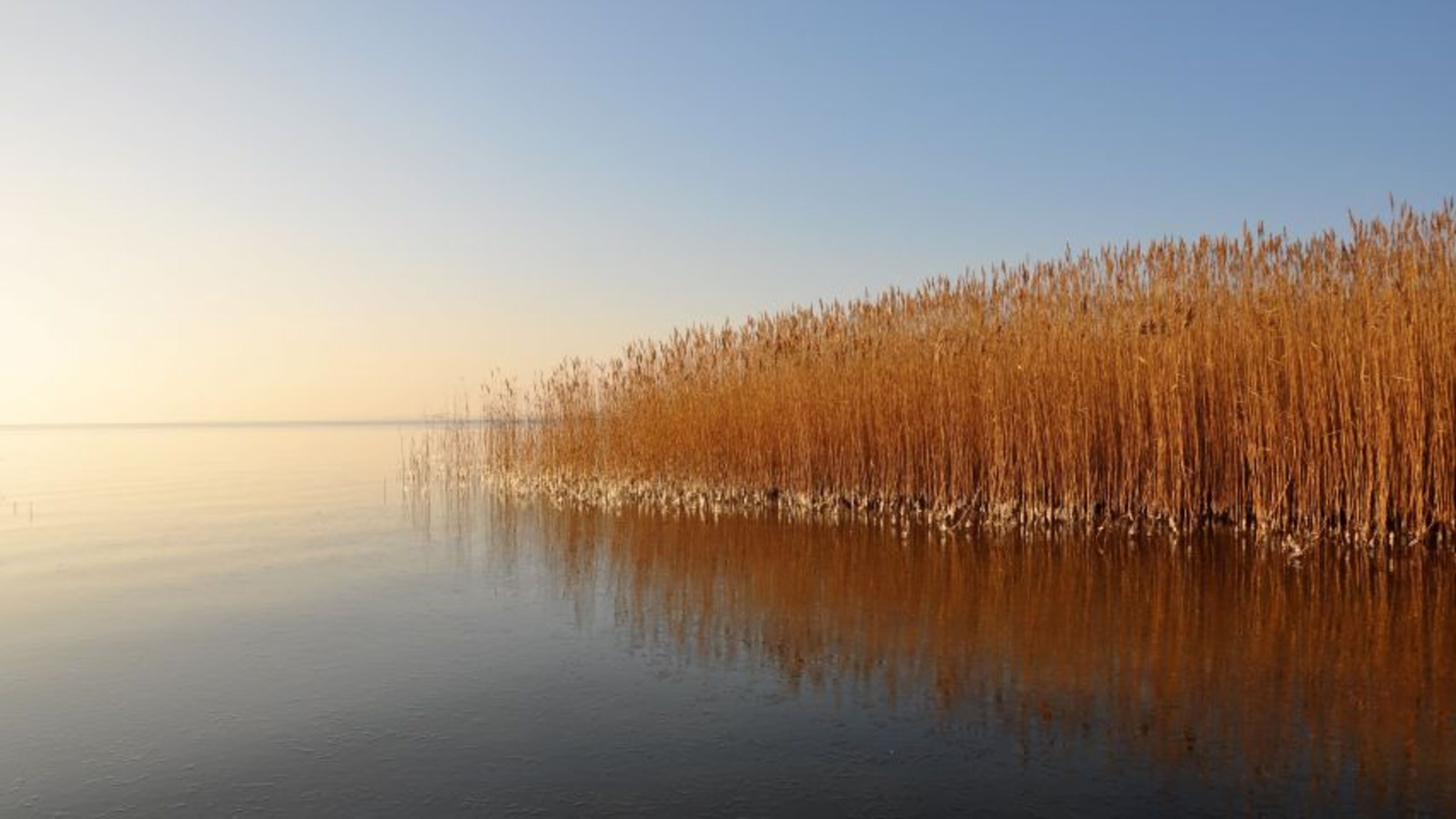 Achterwasser