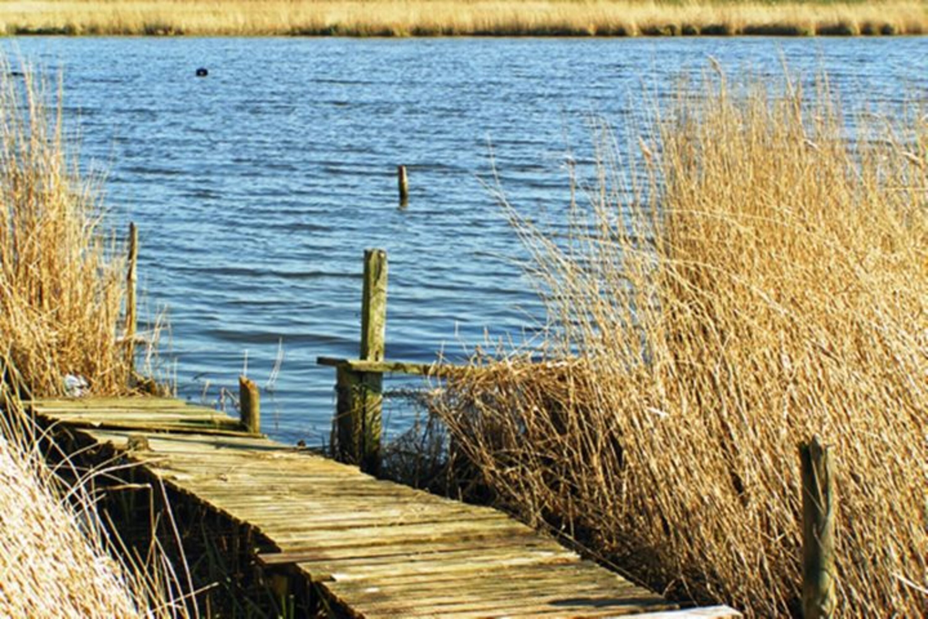 Achterwasser