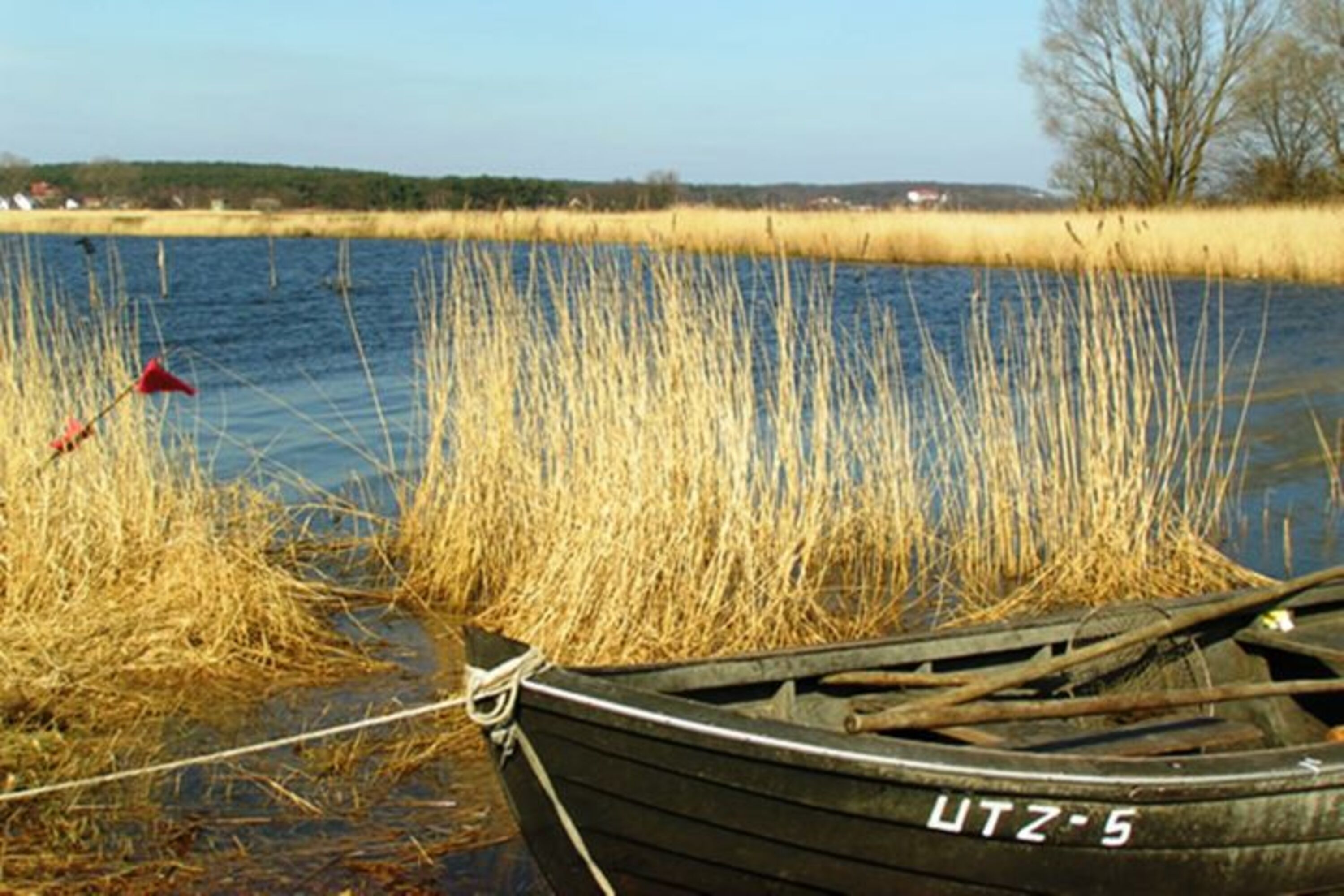 Loddiner Höft