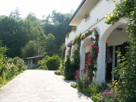 Terrasse mit Blick in den Garten