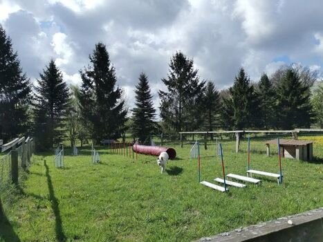 Agility-Platz