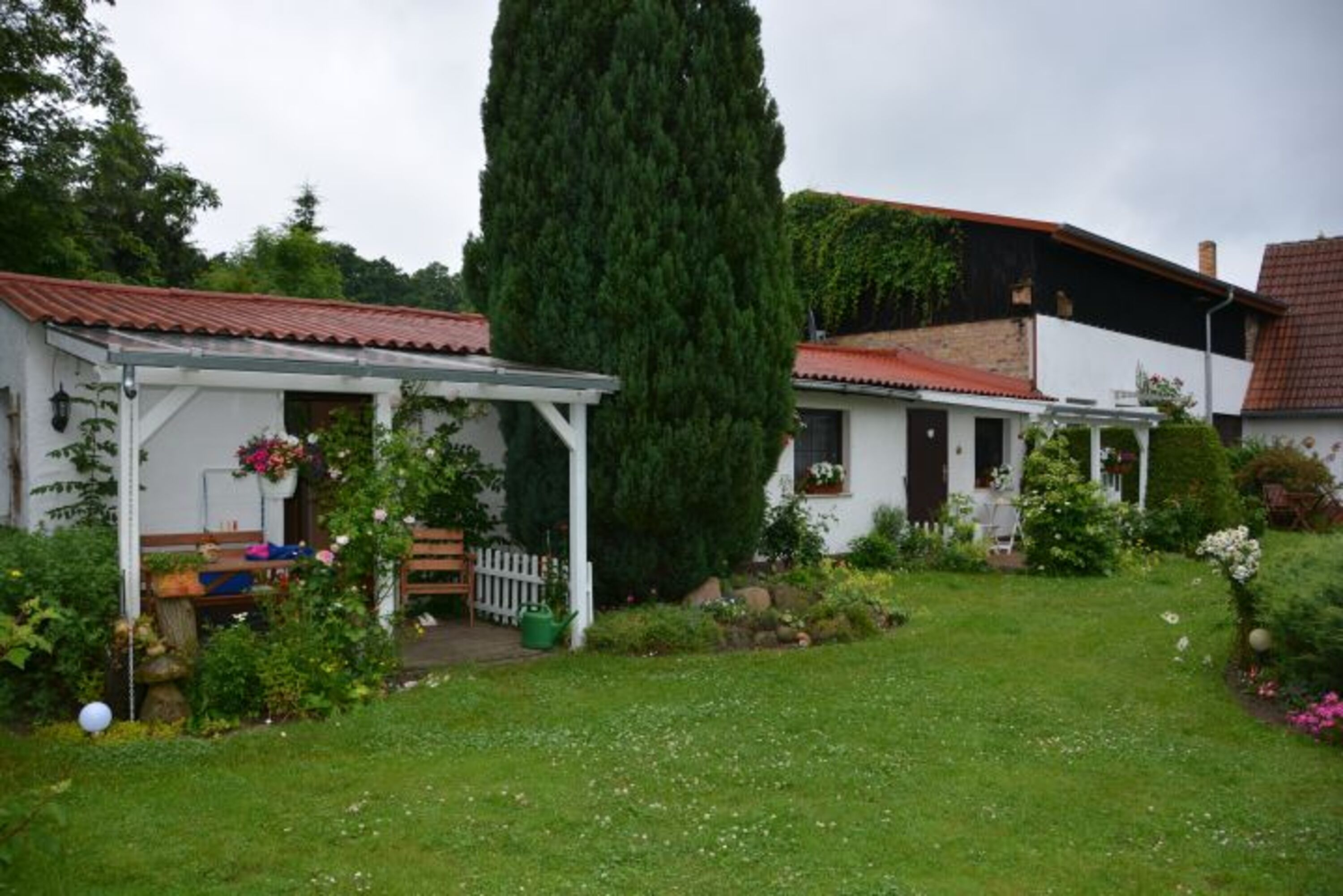 Wohnung Grasmücke