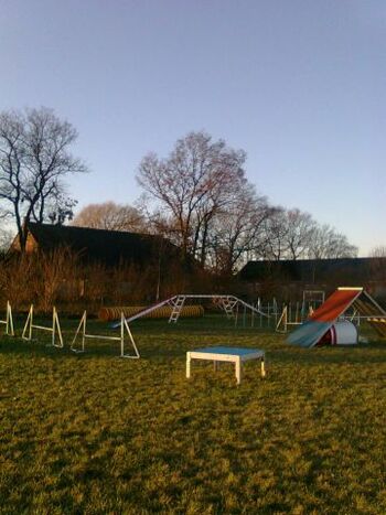 Agilityparcours am Ferienhof