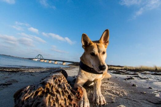 ... oder einfach ausruhen.