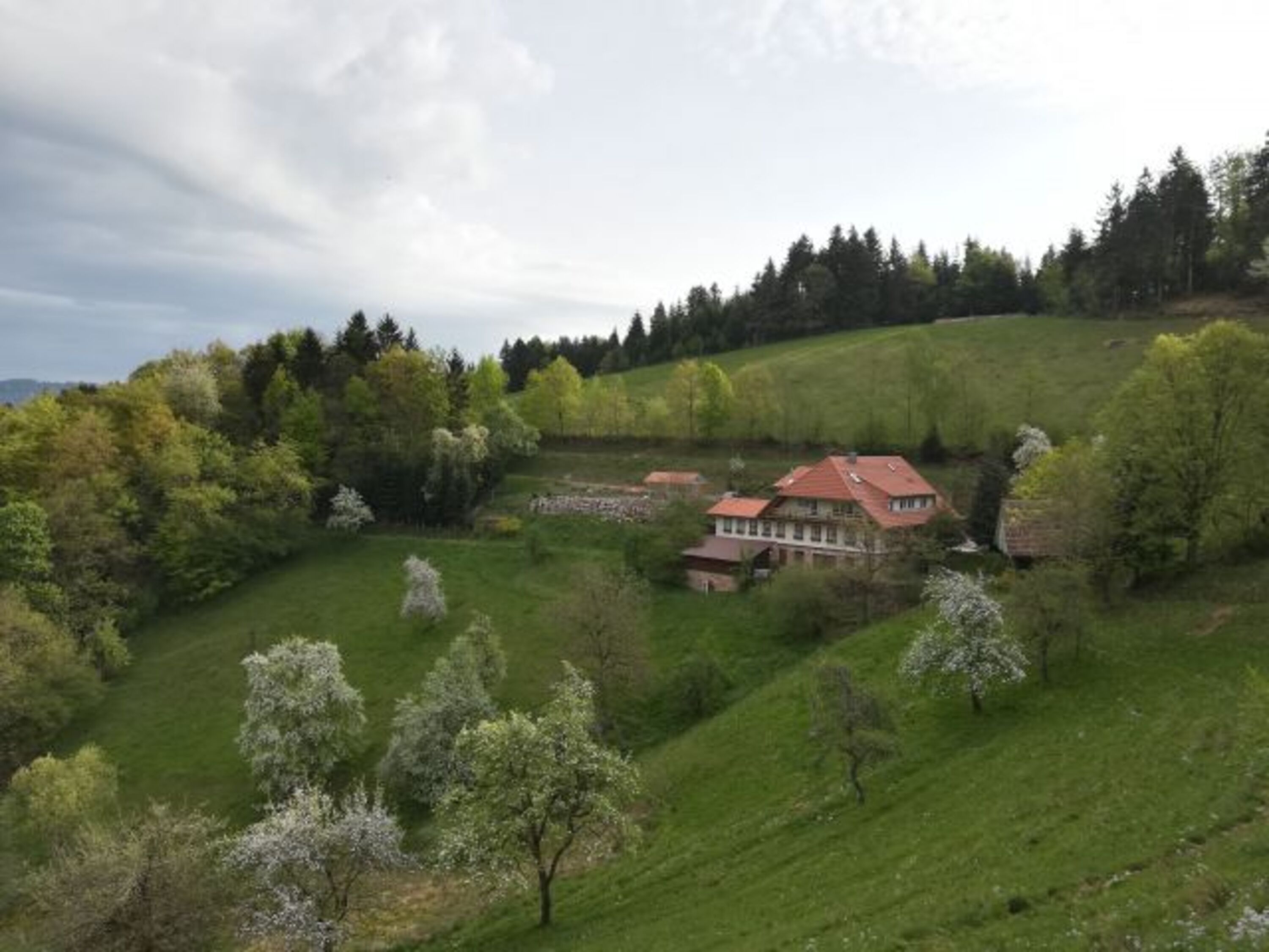 Bild 10