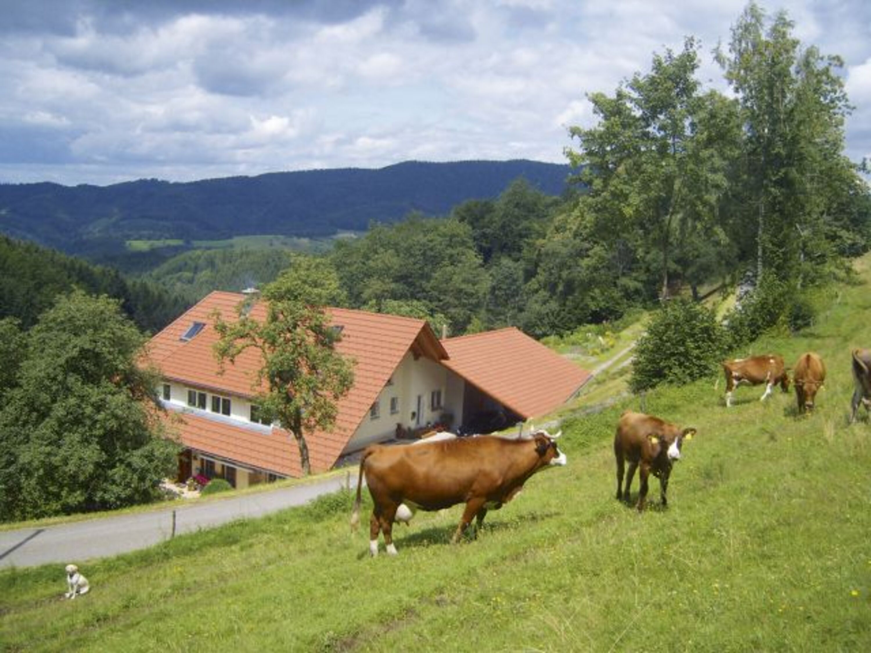 Blick auf den Langenberghof mit Panoramasicht