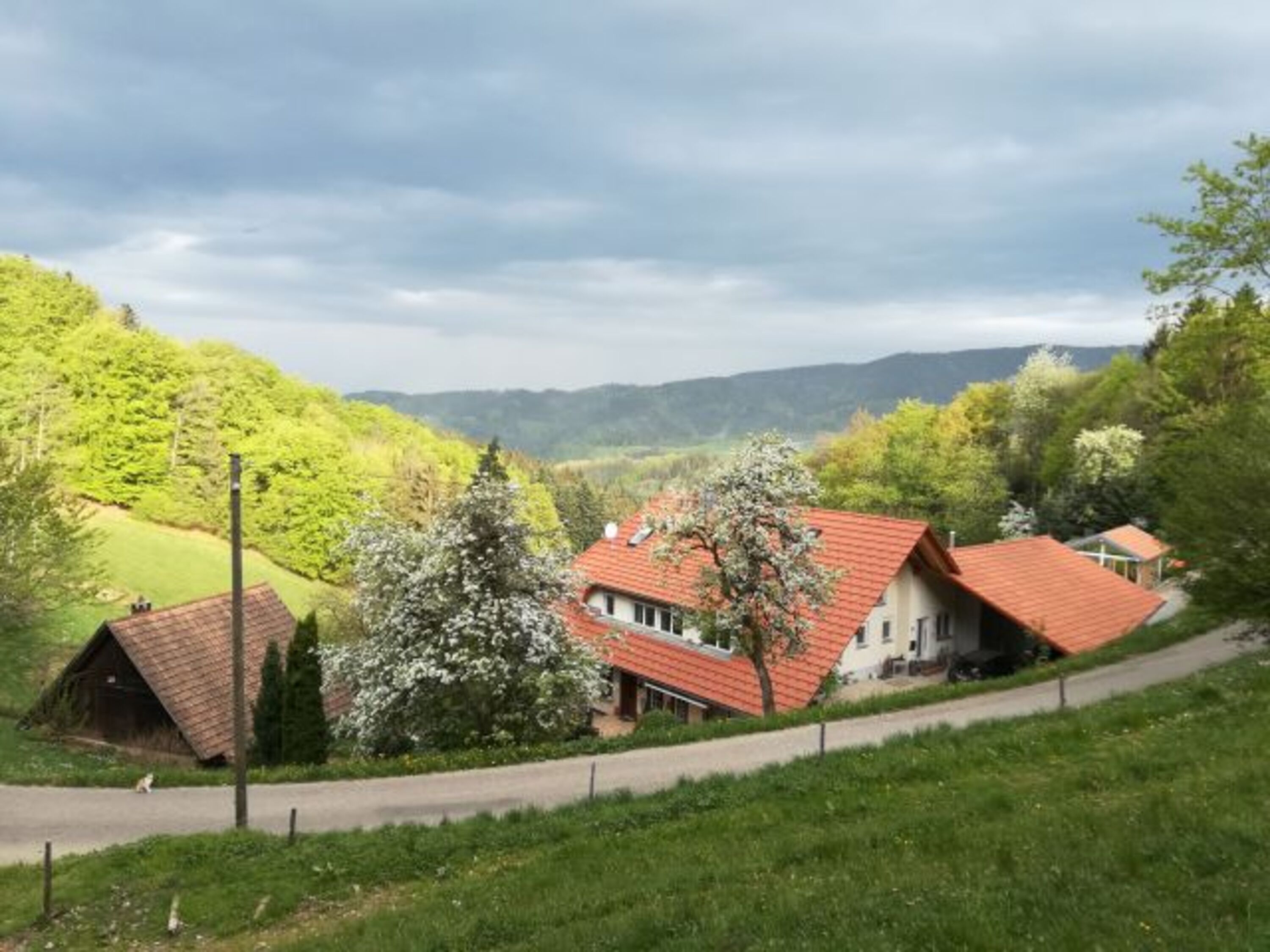 Bild 8