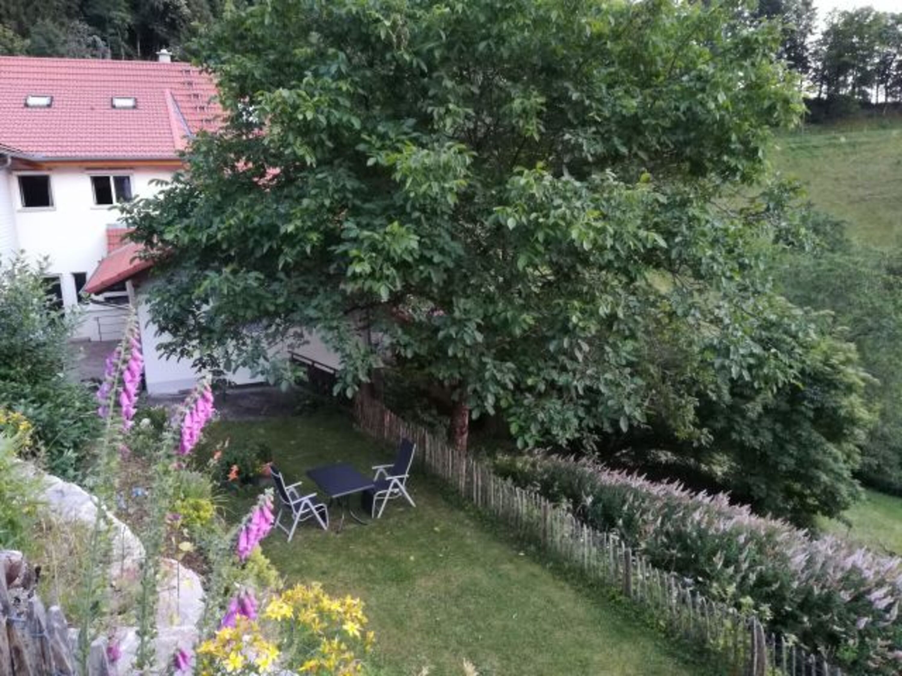 Bild 15