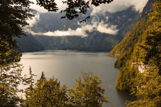 Blick in den Königssee
