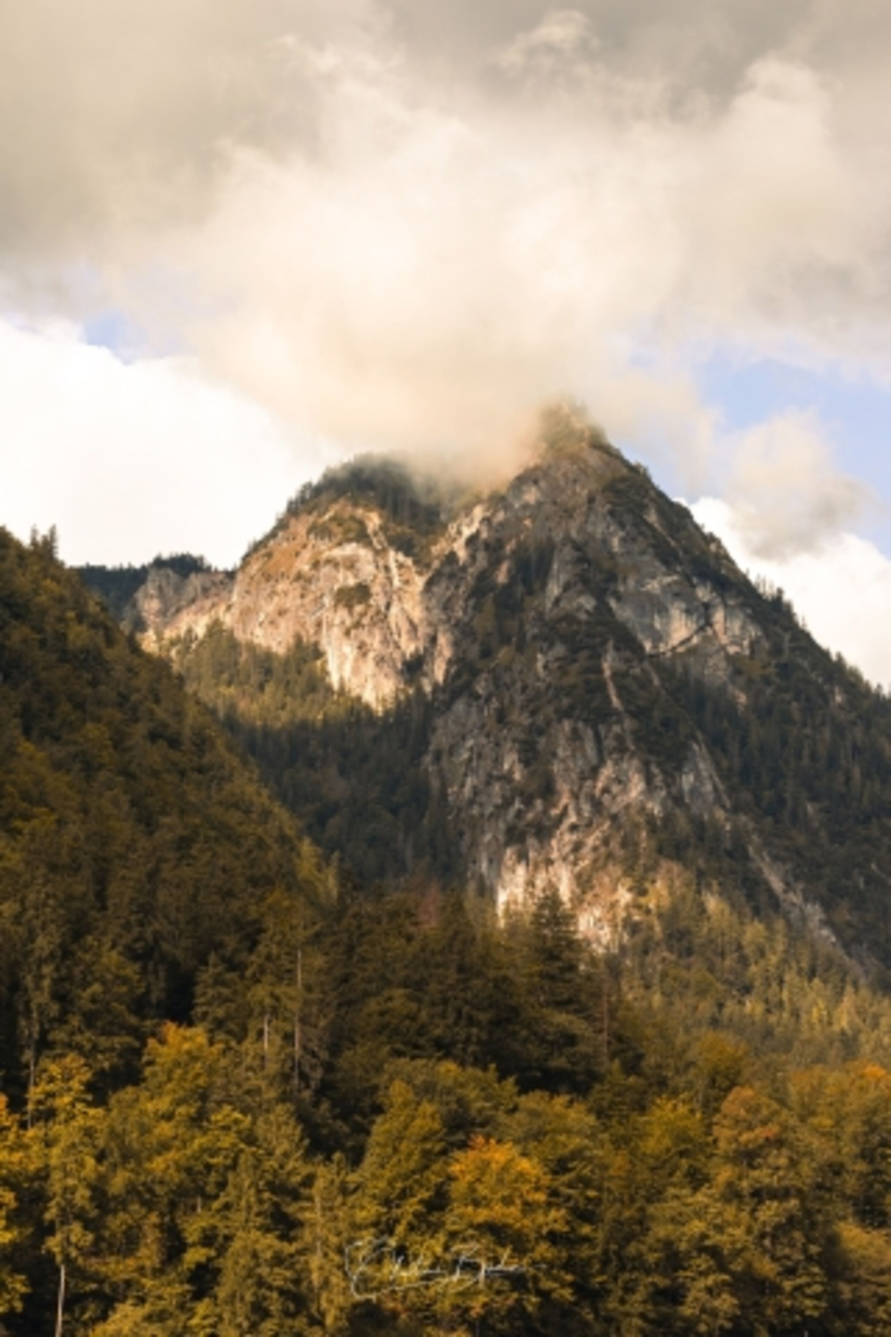 Der Grünstein
