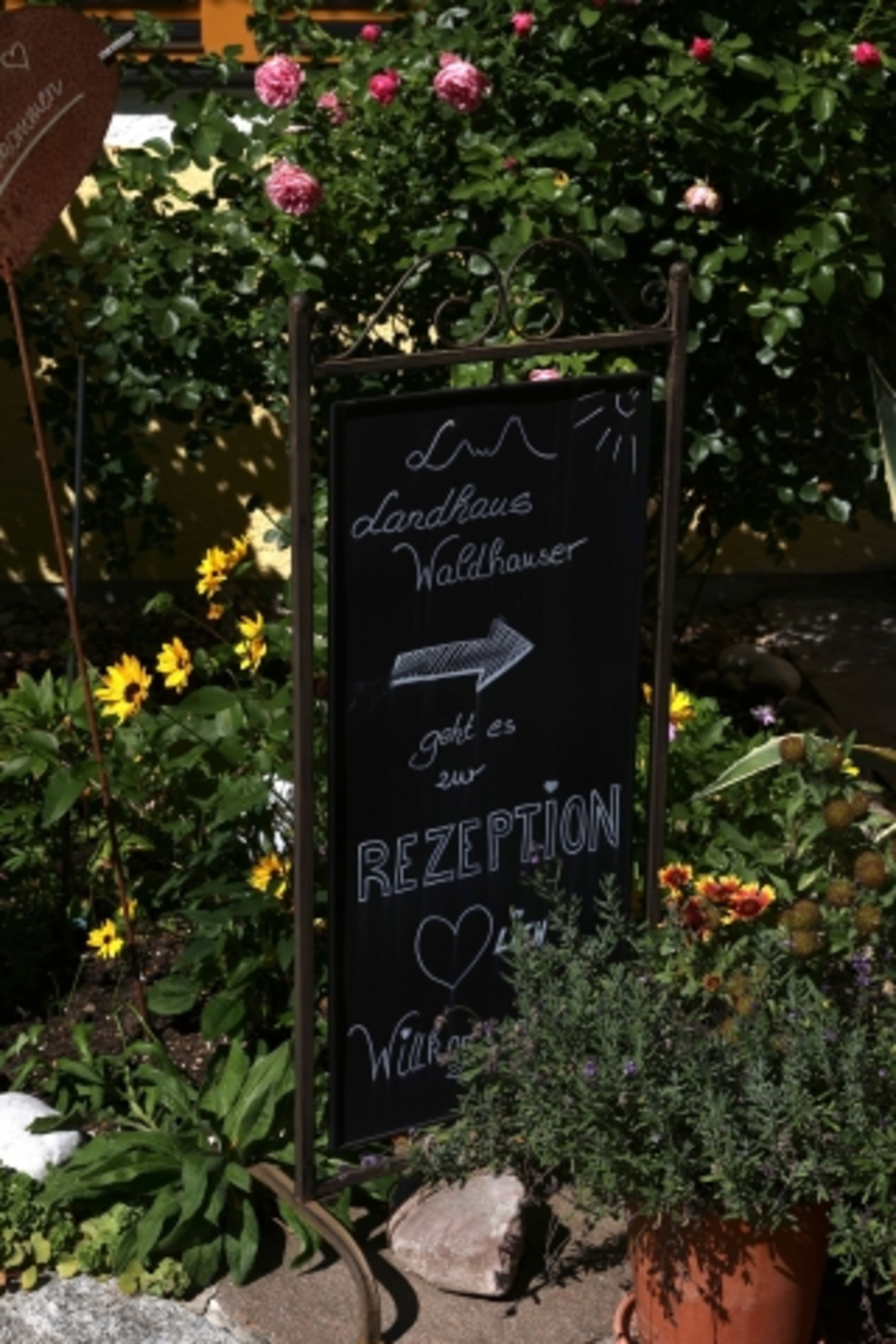 Rezeption