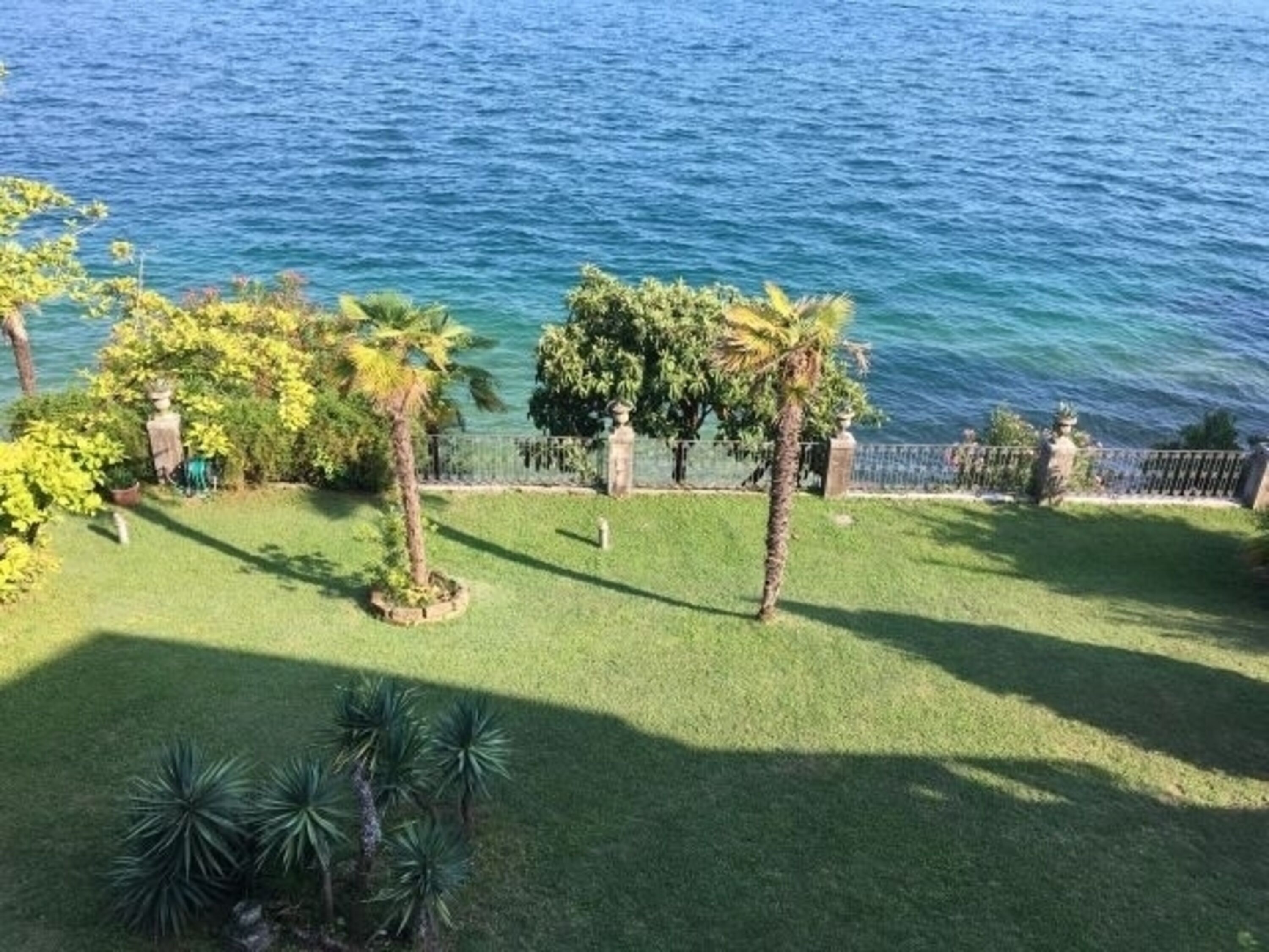 Garten von oben