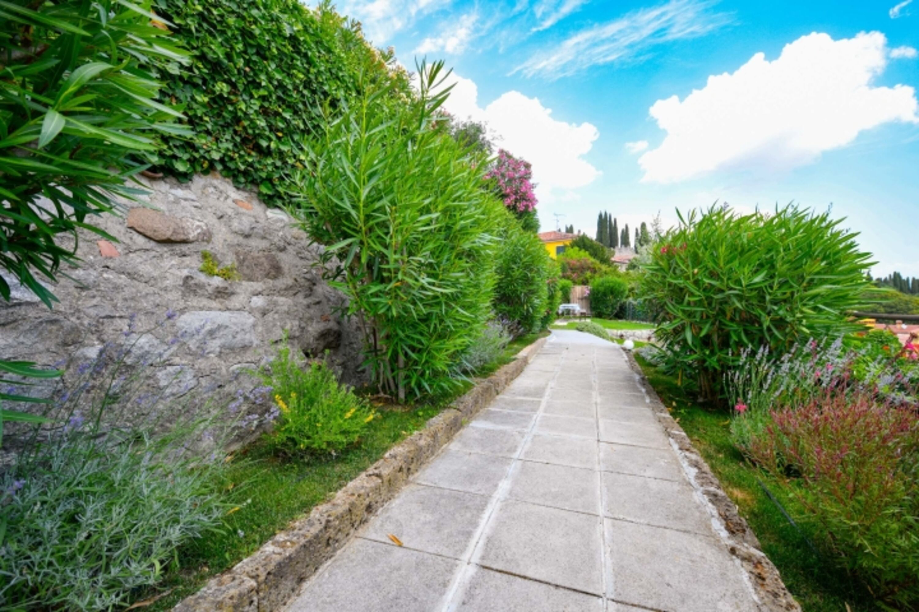 Bild 22