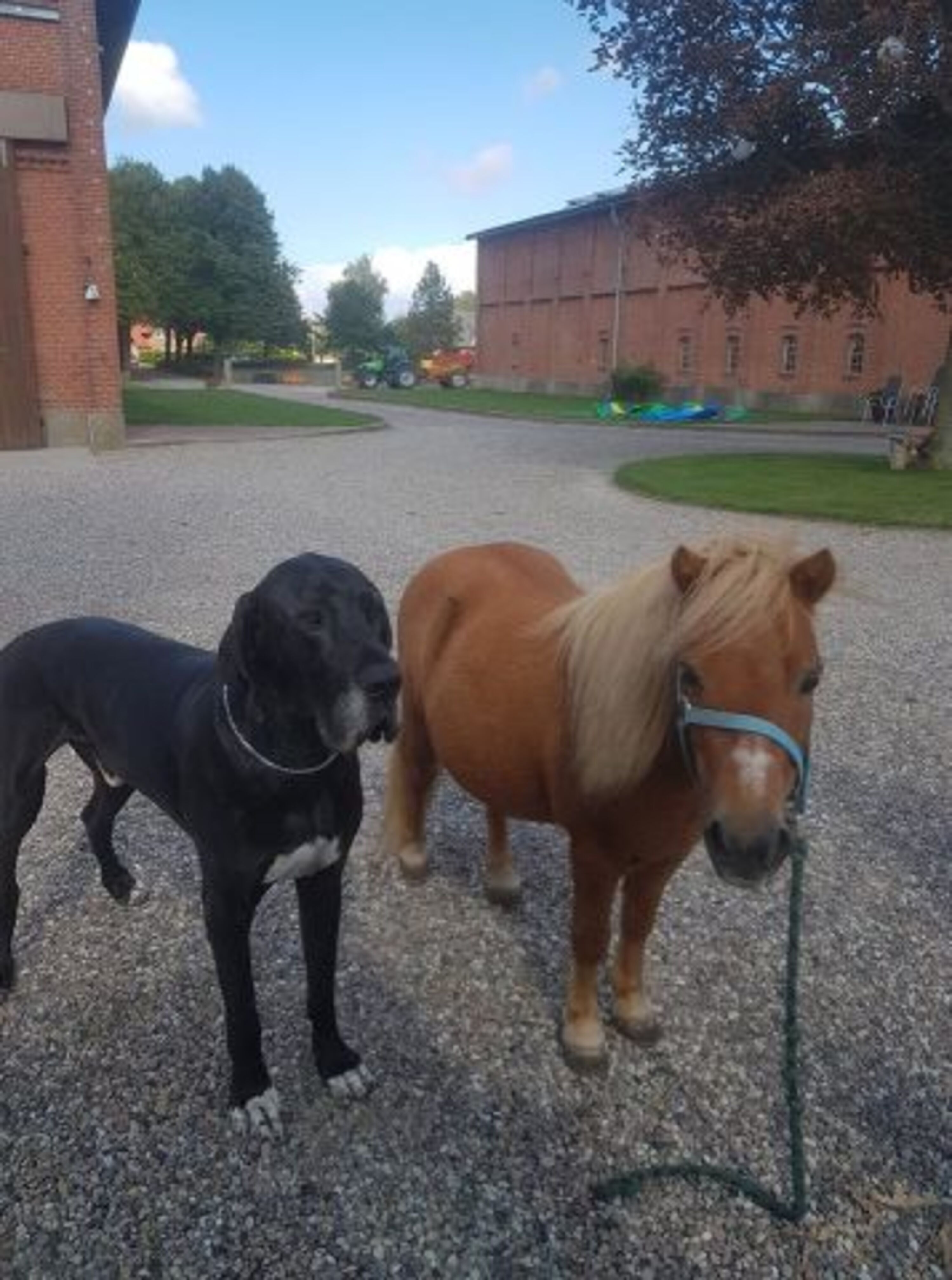 Bild 3