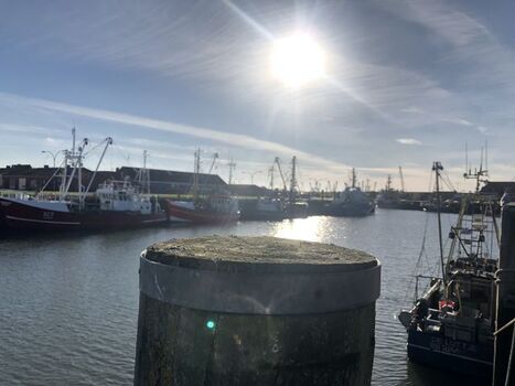 Der Hafen - immer einen Besuch wert