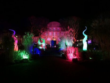 Alles einmal ganz anders