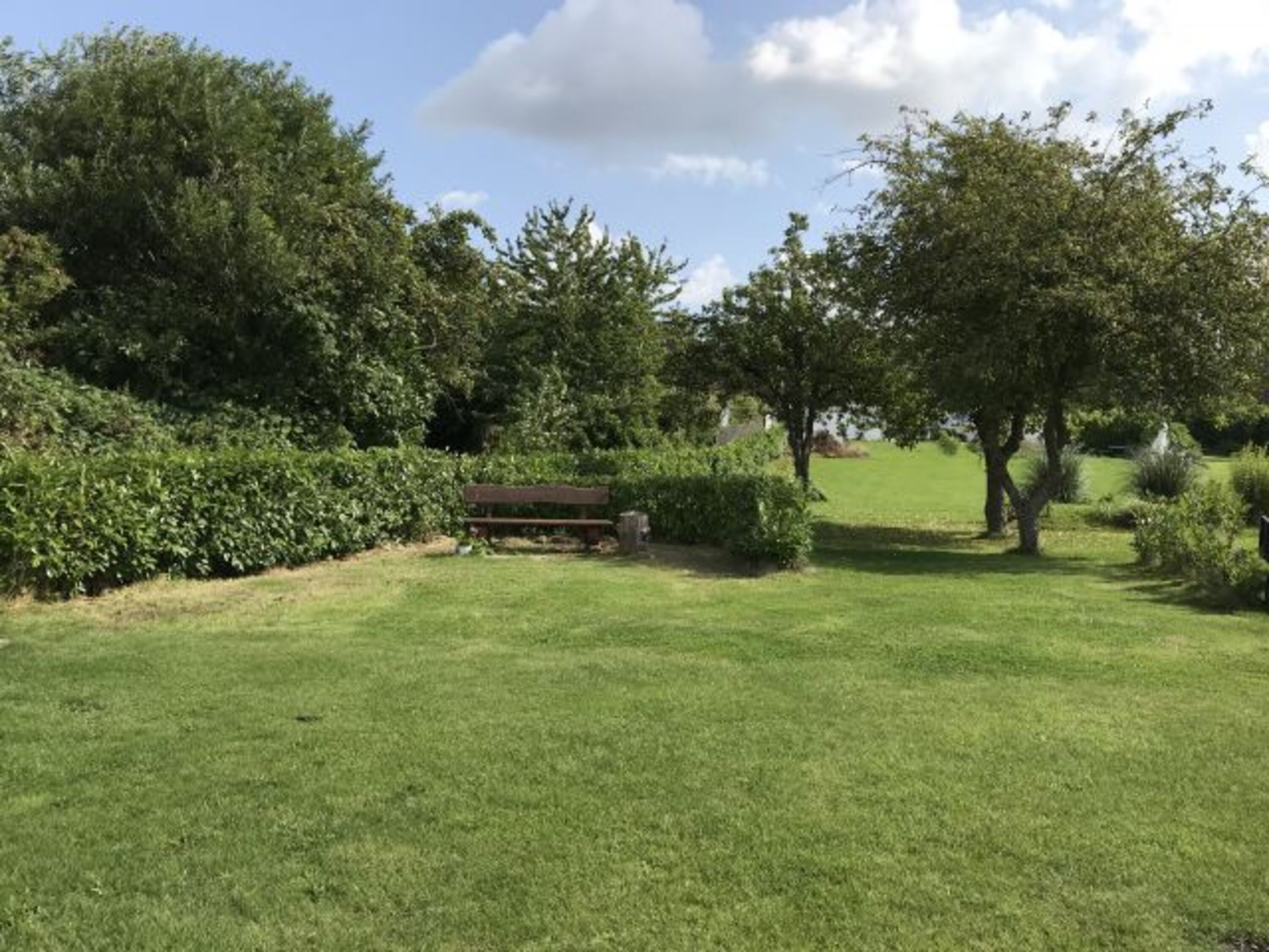Bild 19
